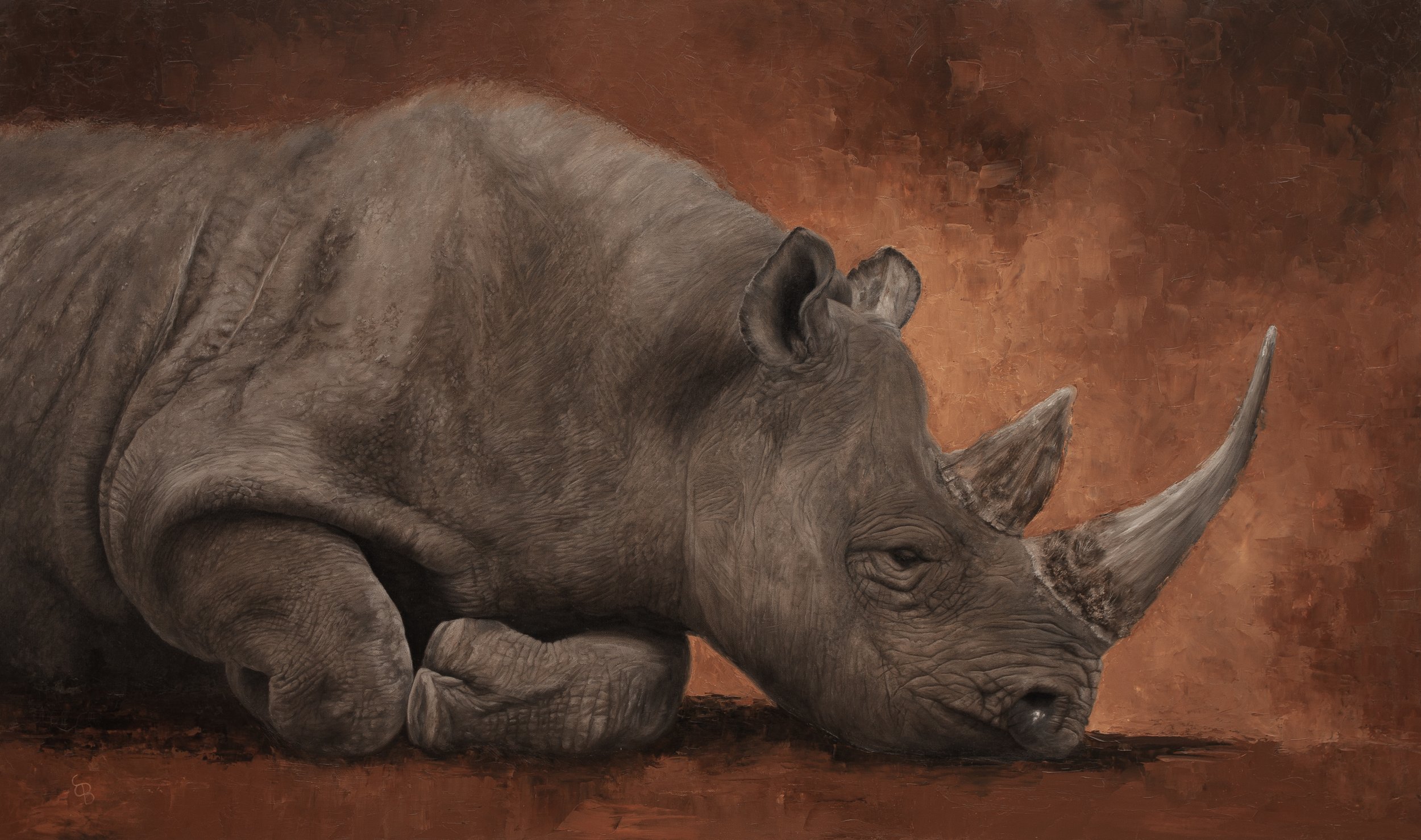Rhino in repose by Emma Bowring