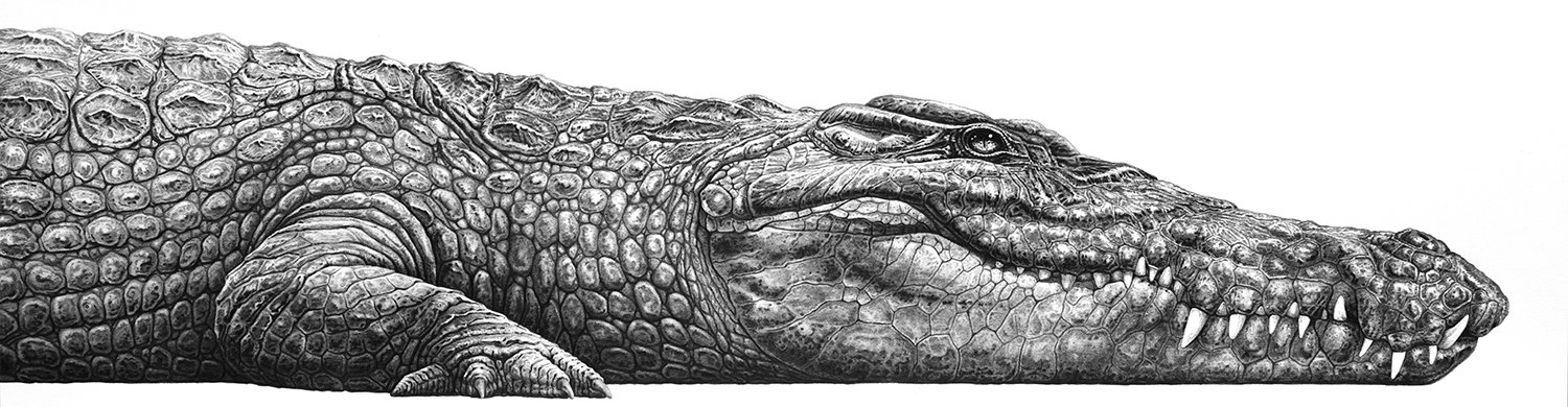 Hand-embellished crocodile print by Gary Hodges