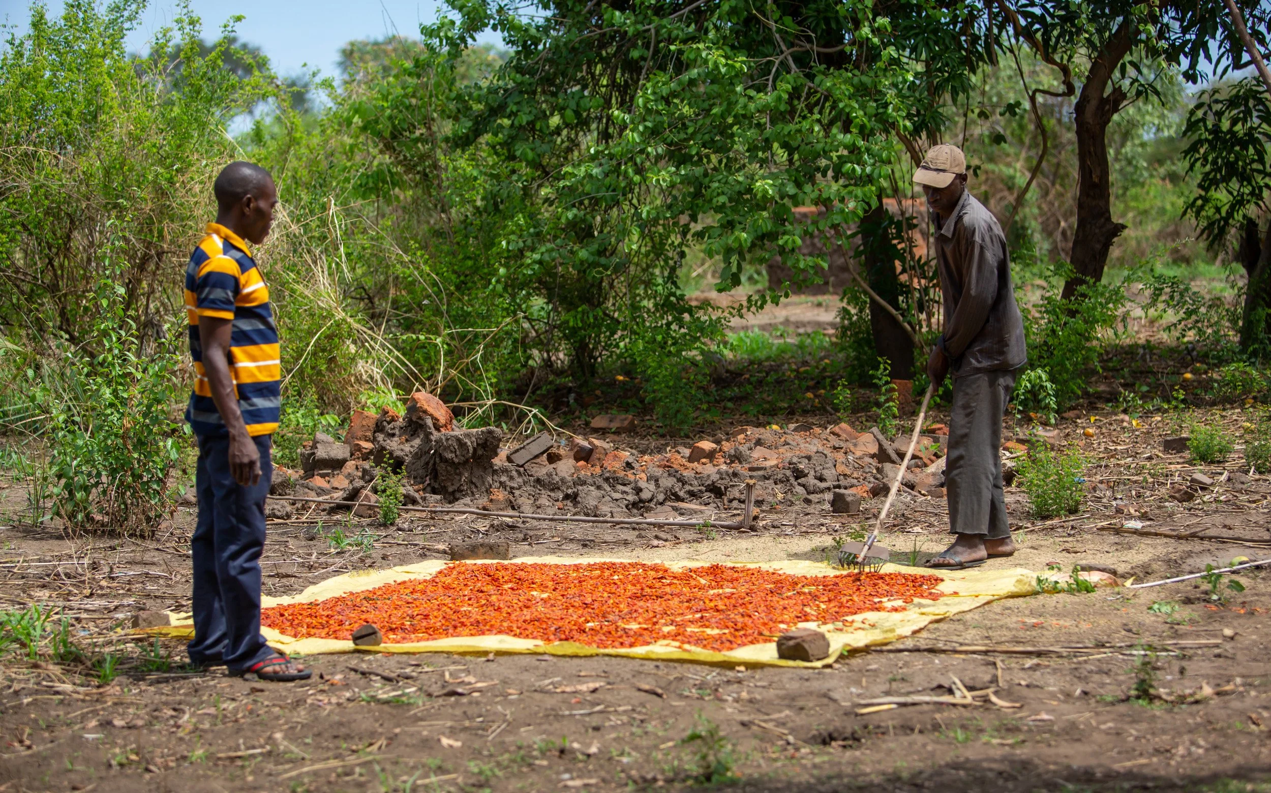 Livelihood support — Conservation South Luangwa