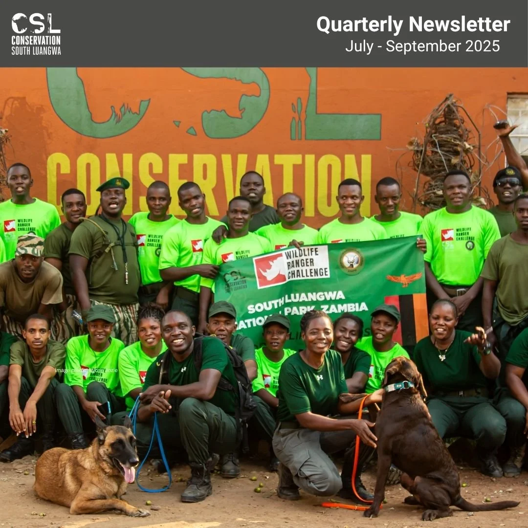 π¨ Newsletter Alert! π¨
Our Q3 2025 newsletter is out now!
K9 Unit Says Goodbye to Tygee πΎπ We sadly lost our beloved K9 team member, Tygee, in August to a short, incurable illness. Brave, loyal, and full of personality, he was a massive part of