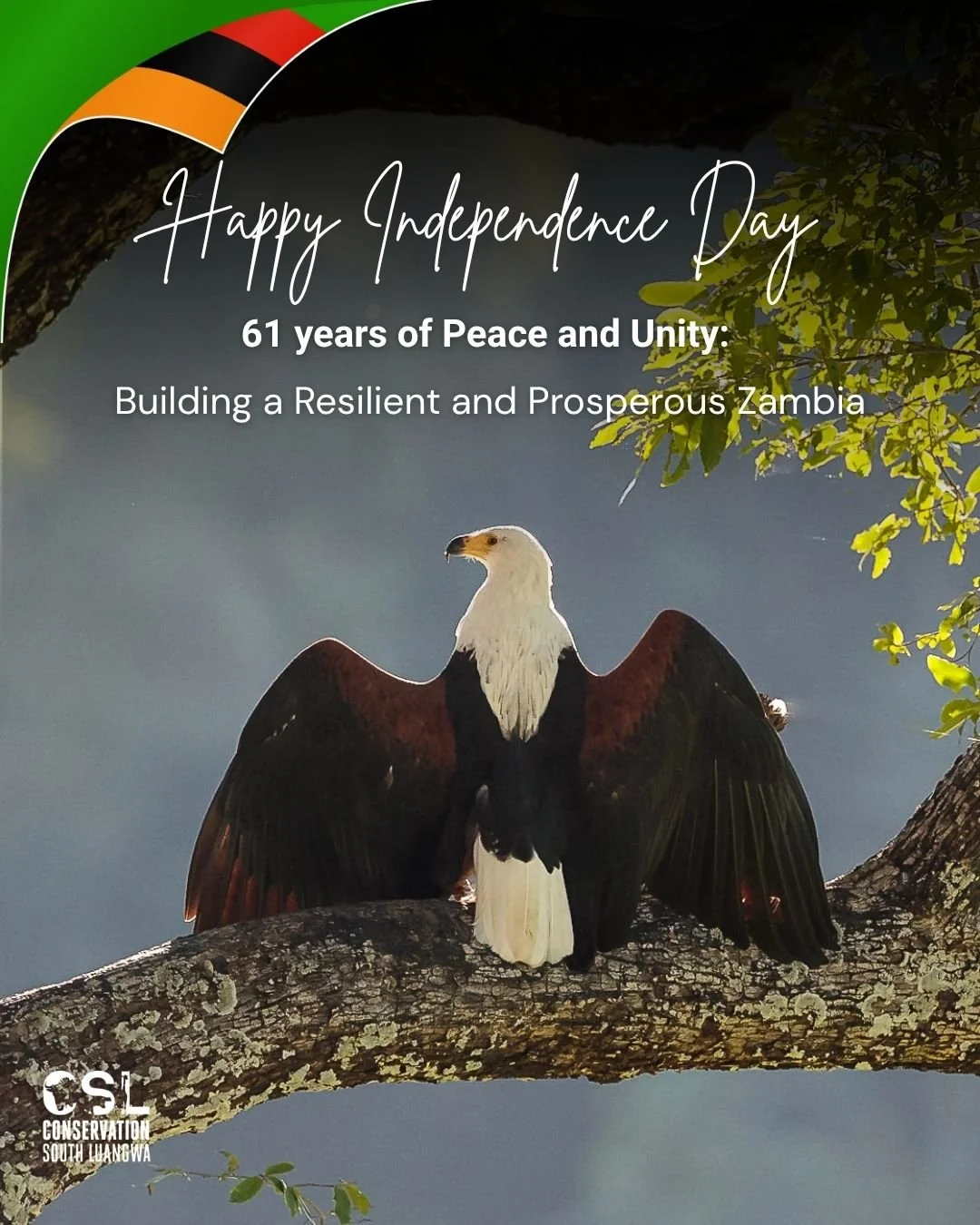Today marks the sixty first anniversary of Independence Day for our nation, Zambia. 
This year's theme for the celebrations is: “61 Years of Peace and Unity; Building a Resilient and Prosperous Zambia”.
A wonderful theme to reflect on as