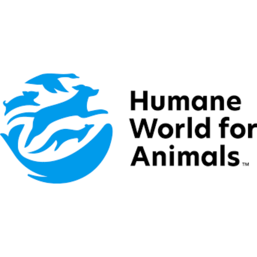 HWFA.png