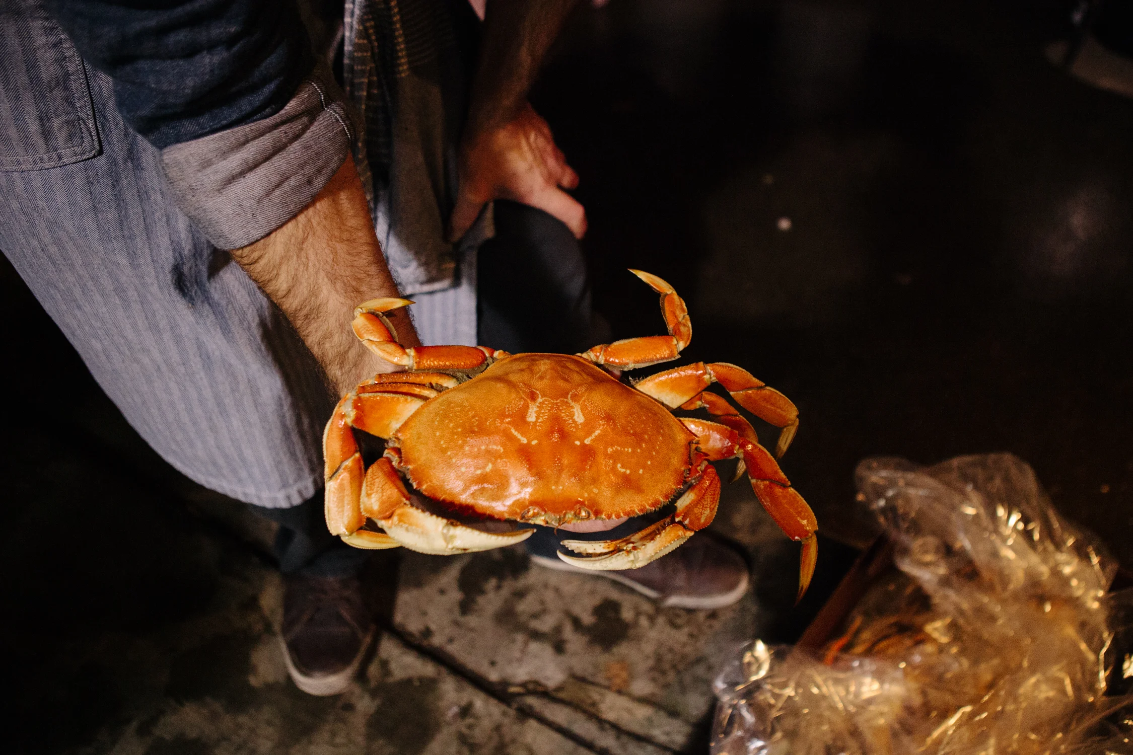 CrabFeed_Calisch_WEB-6.jpg