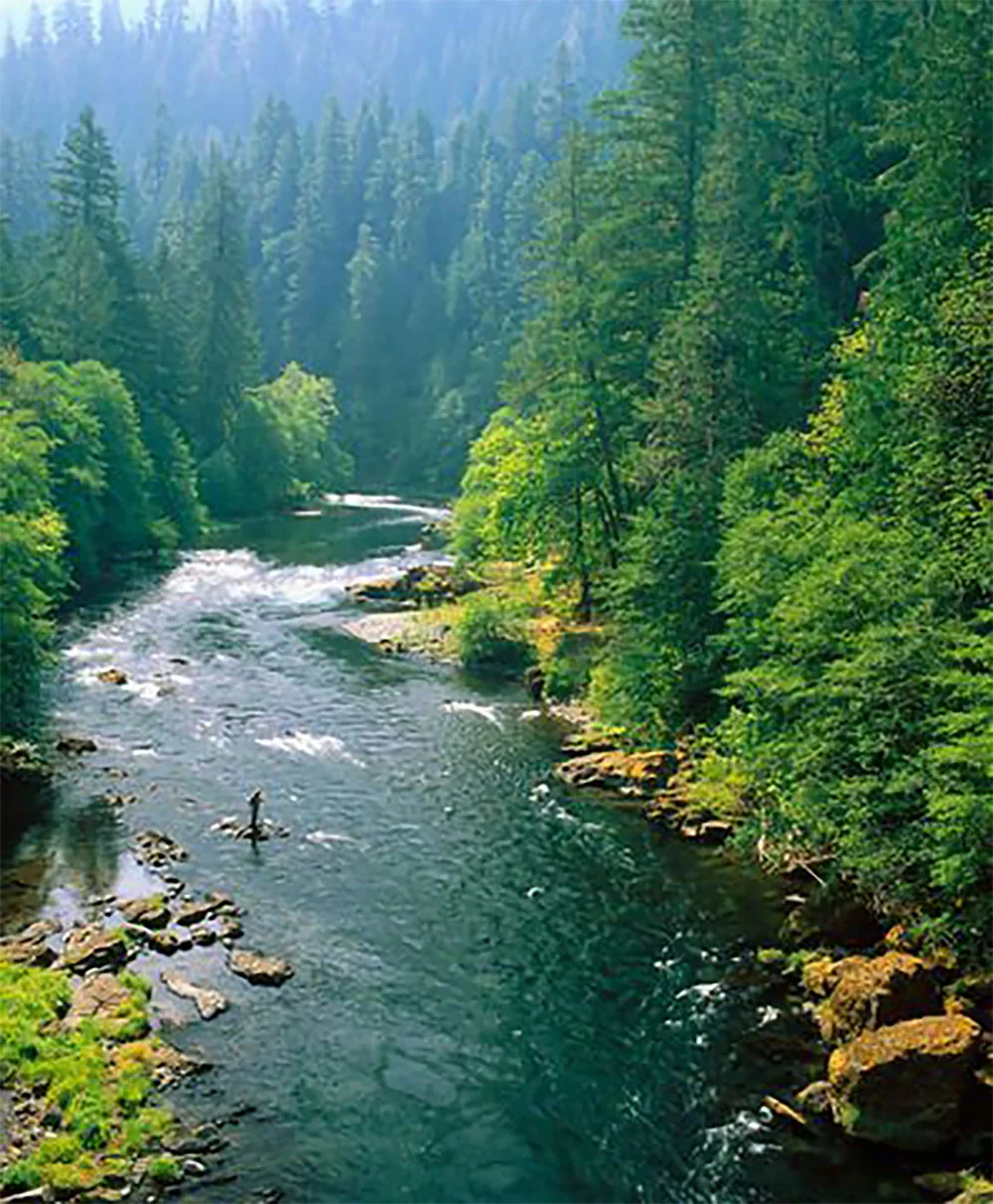 Steamboat Inn + Tournant Guest Chef Dinner Series