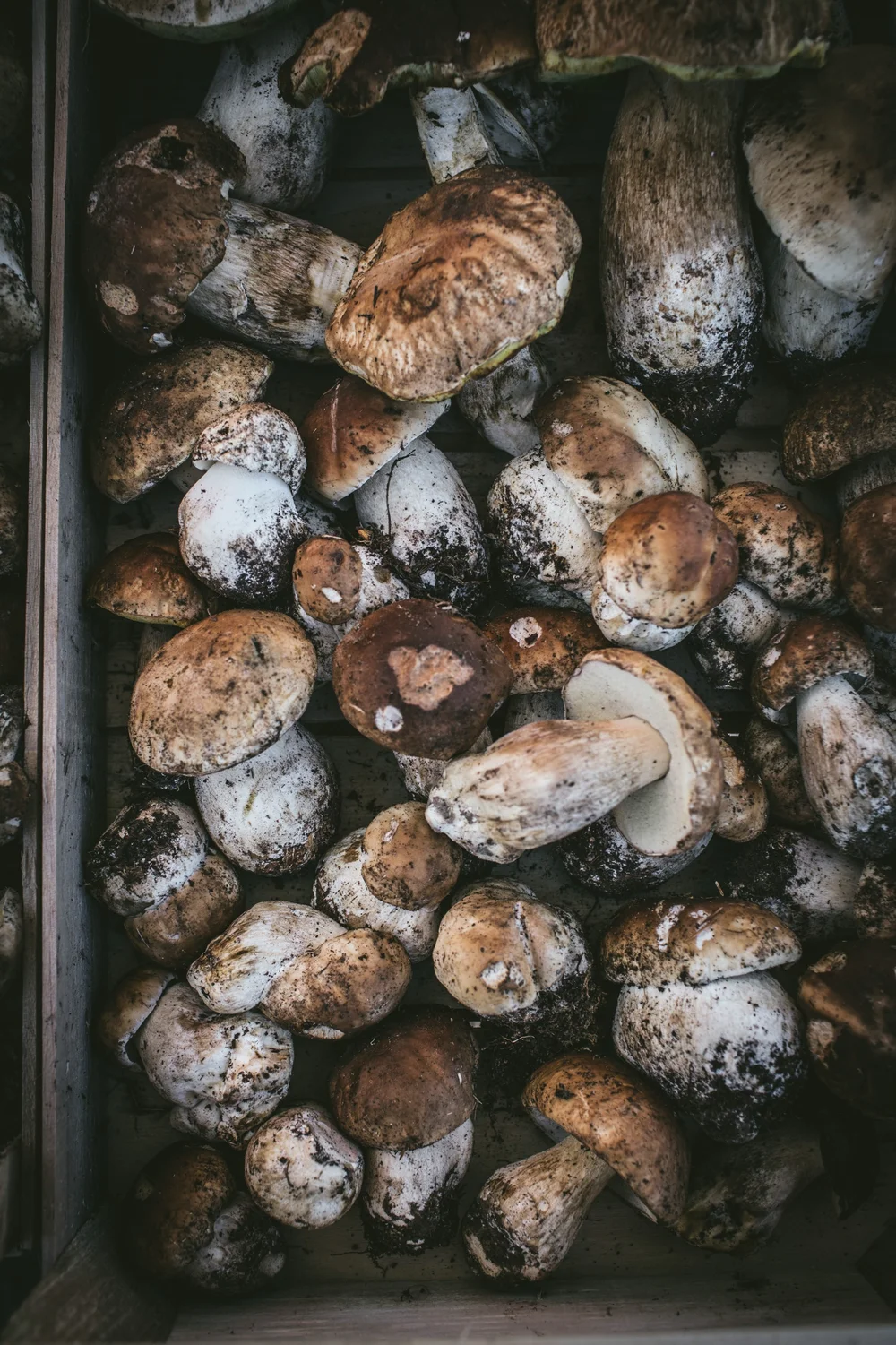 tournant in croatia by eva kosmas flores-34.jpeg