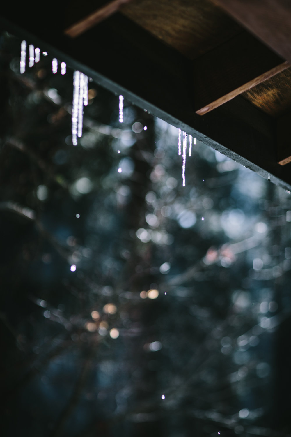 wintertide secret supper by eva kosmas flores | adventures in cooking-9.jpeg