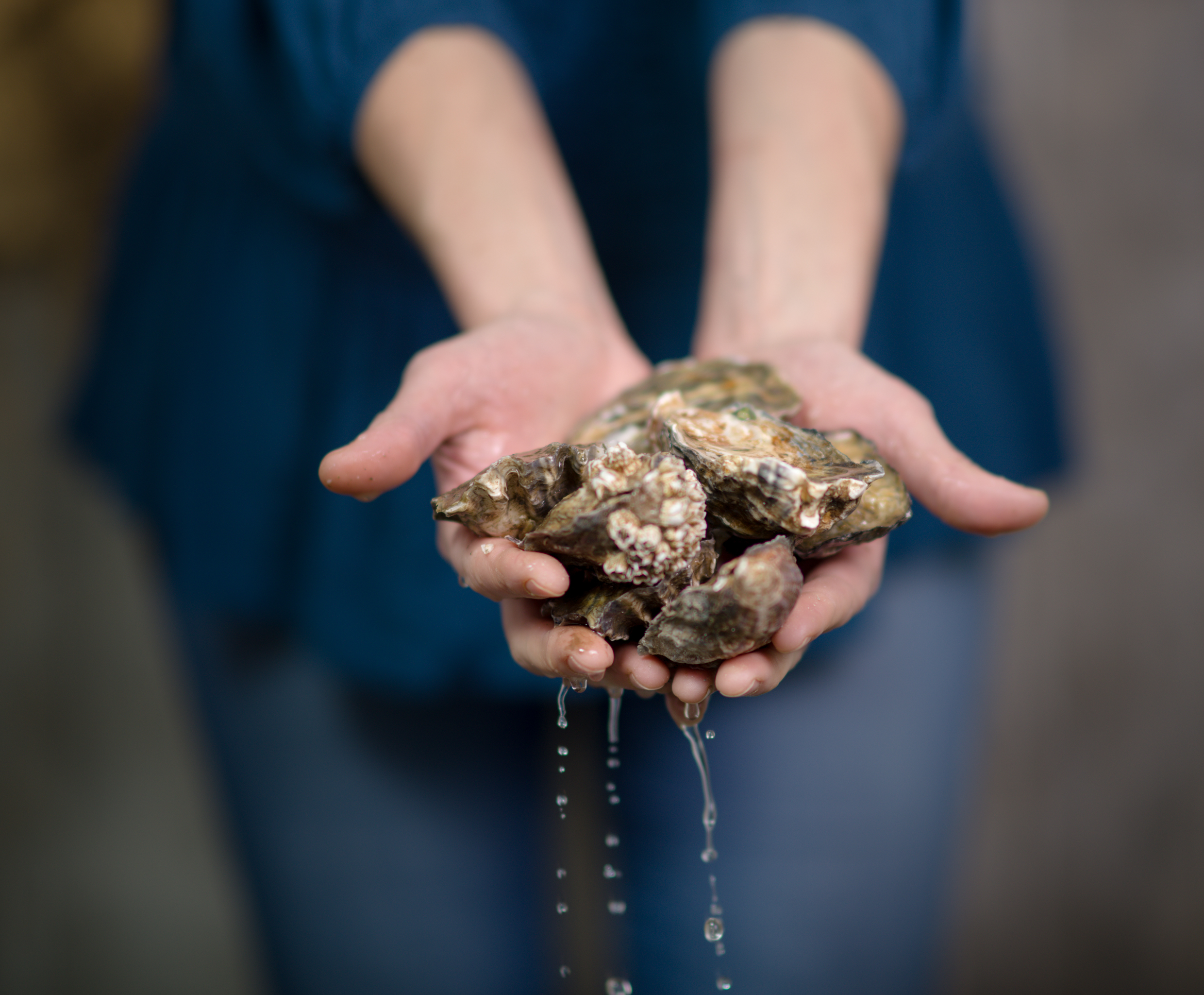 oysters and hand .jpg