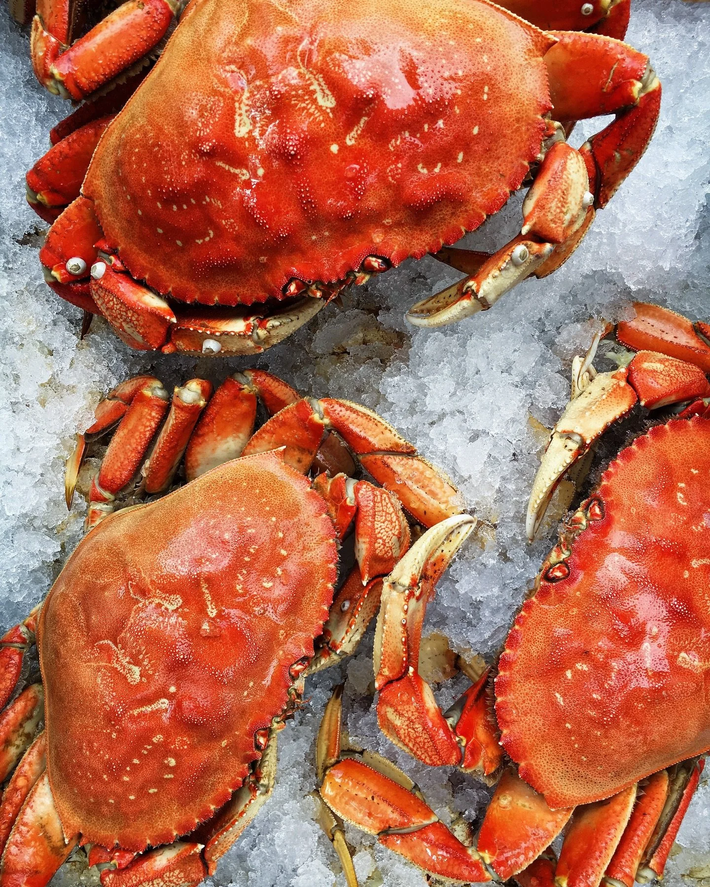 🎟️🌊🦀Calling all seafood lovers! We&rsquo;ve got THREE upcoming events celebrating Oregon seafare to dish about. Shellfish is at its absolute peak deliciousness in winter, plus Oregon Dungeness crab season just opened yesterday, so let&rsquo;s gath