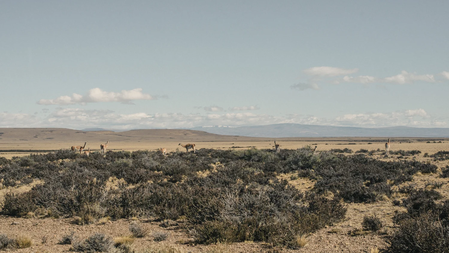 _0009051.jpg