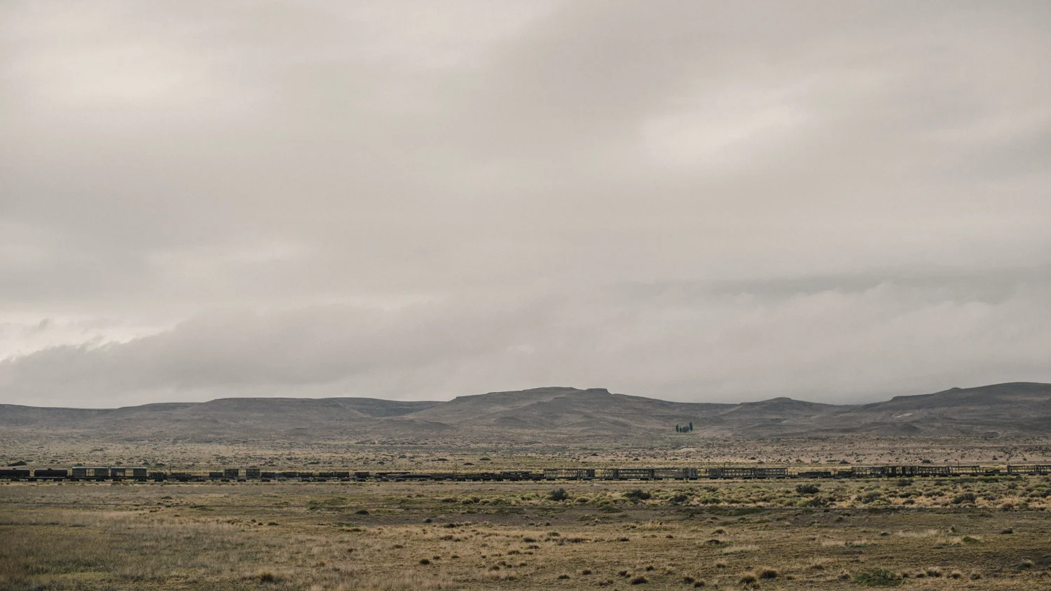 _0008762.jpg