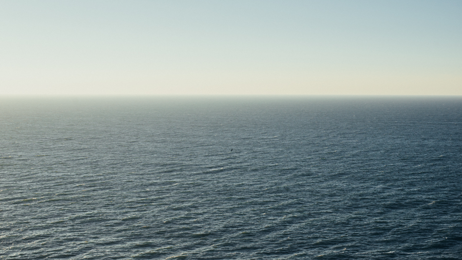 _0006384.jpg