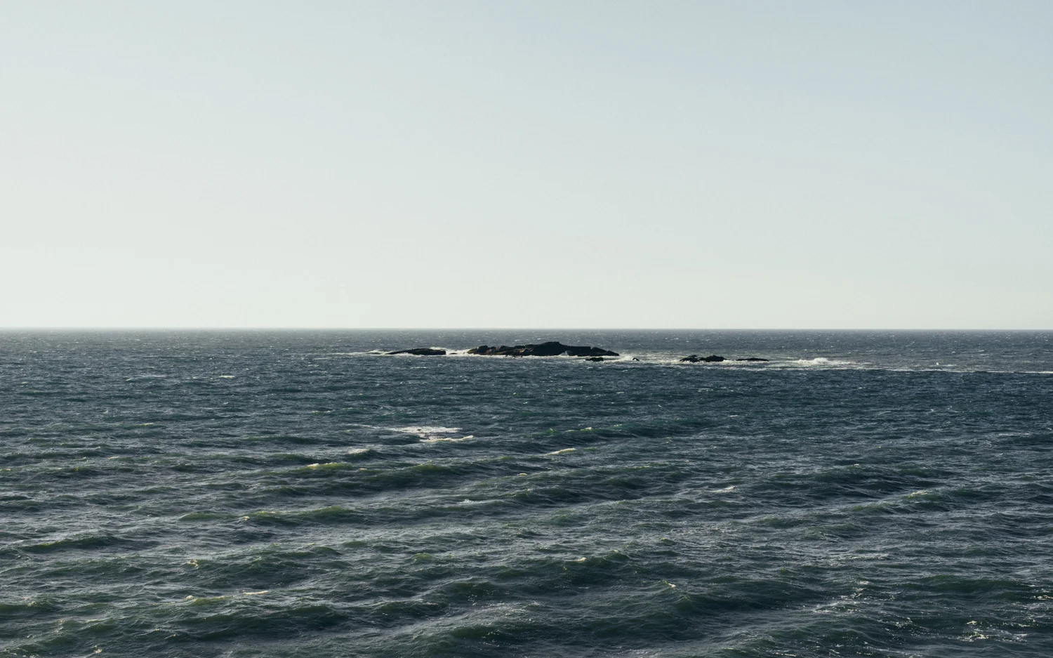 _0006431.jpg