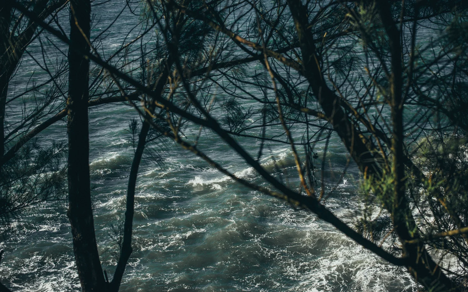 _0006438.jpg