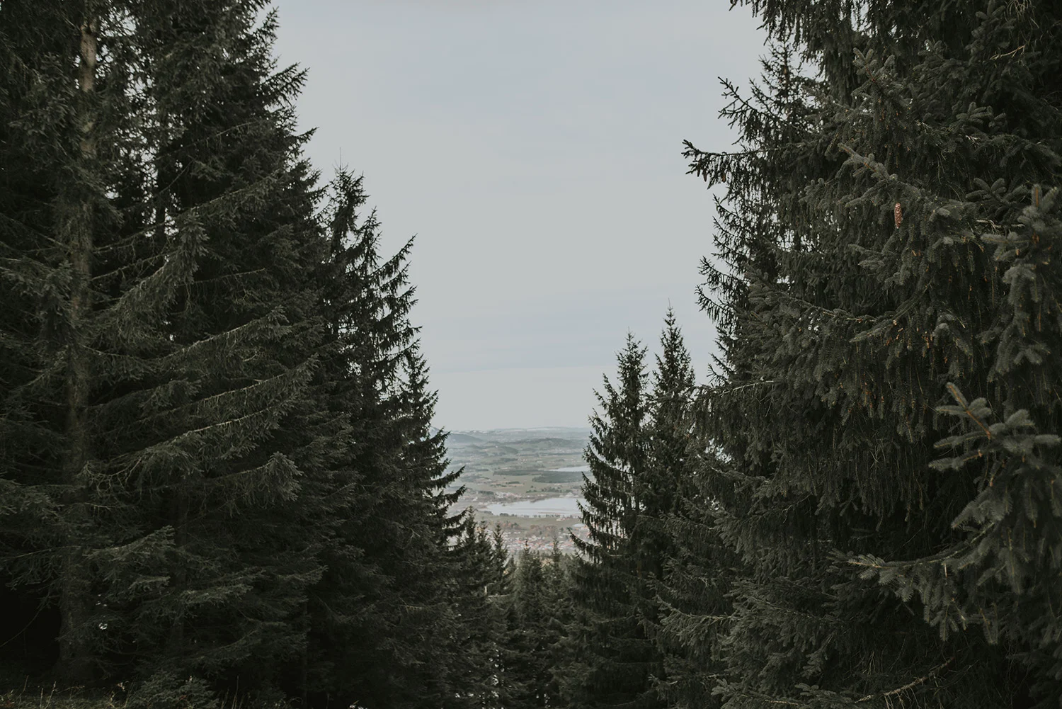 _0000000_001.jpg