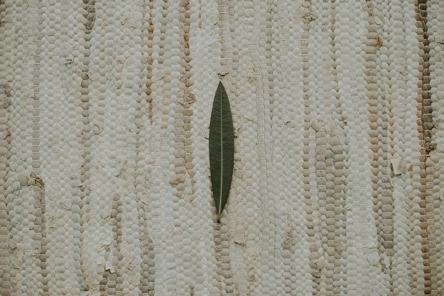 _0000000_156.jpg