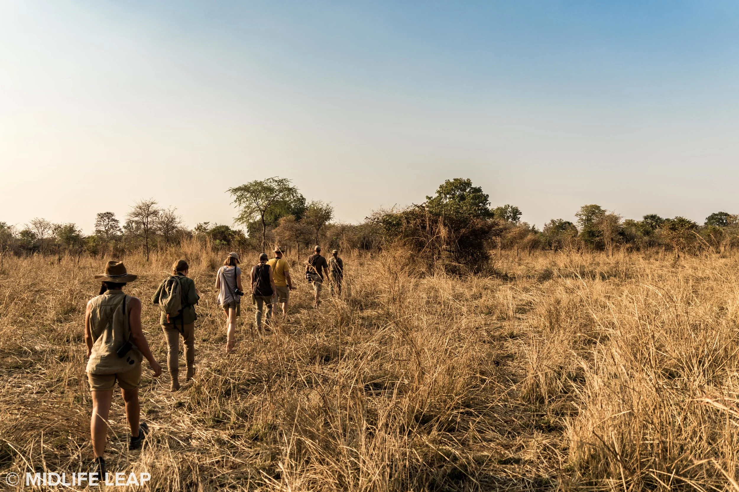 mwaleshi-north-luangwa-walking-safari-the-group.jpg