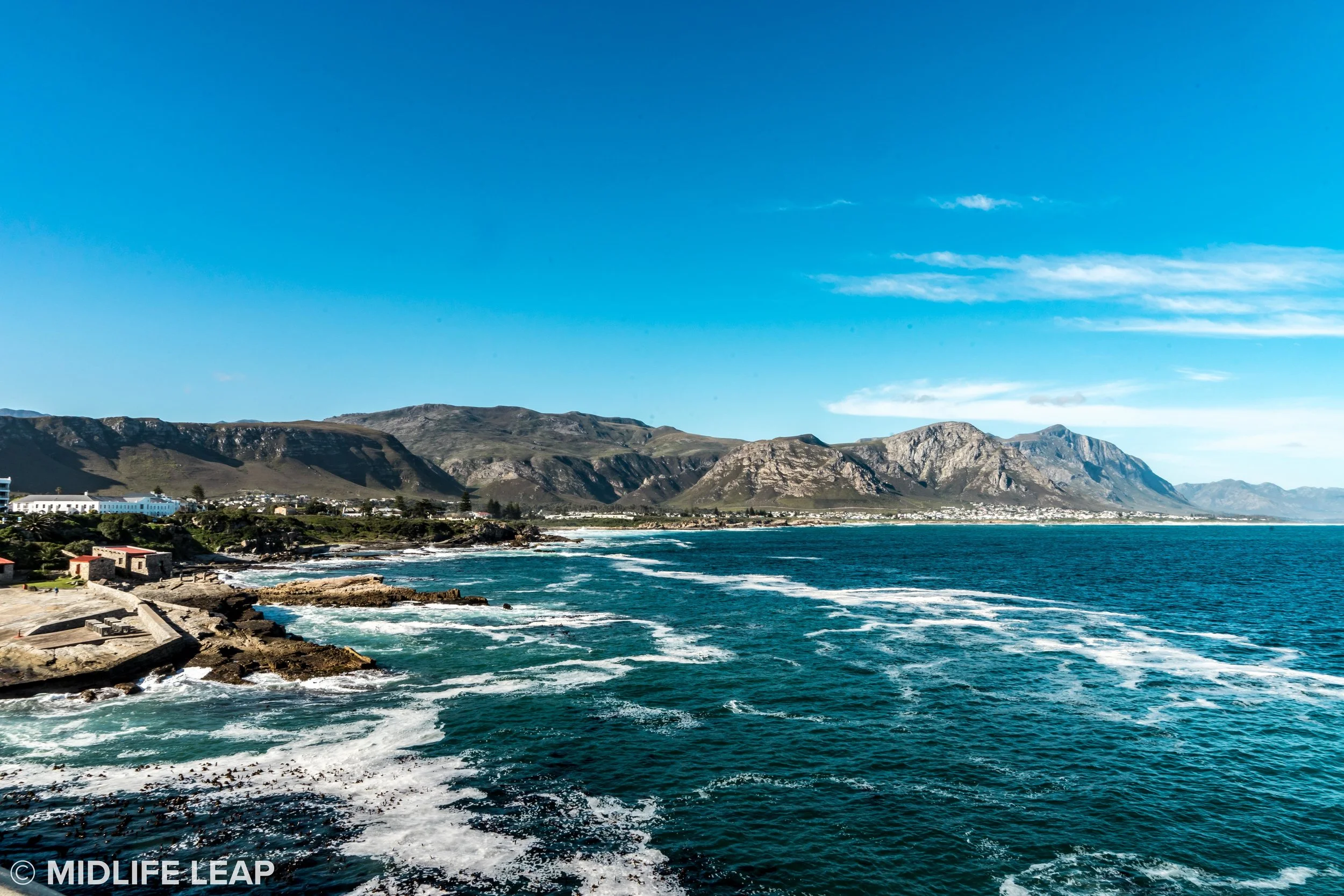 Hermanus! I swear there were tons of whales!
