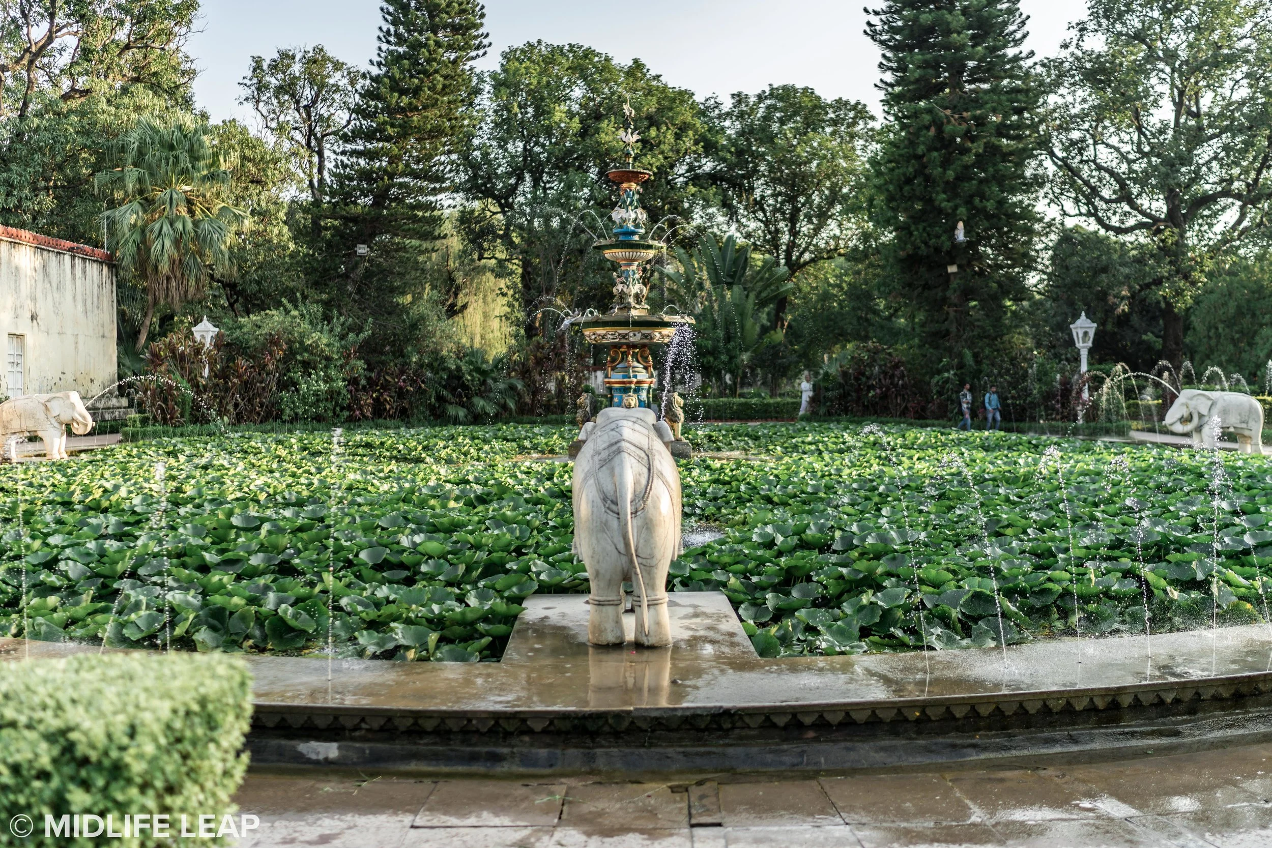 Walking through the beautiful Saheliyon-ki-Bari