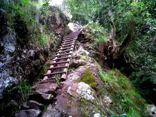 Skeleton Gorge Hike Map The Skeleton Gorge Hike - Local Guides - Skeleton Gorge, Cape Town, Wc,  7824, South Africa