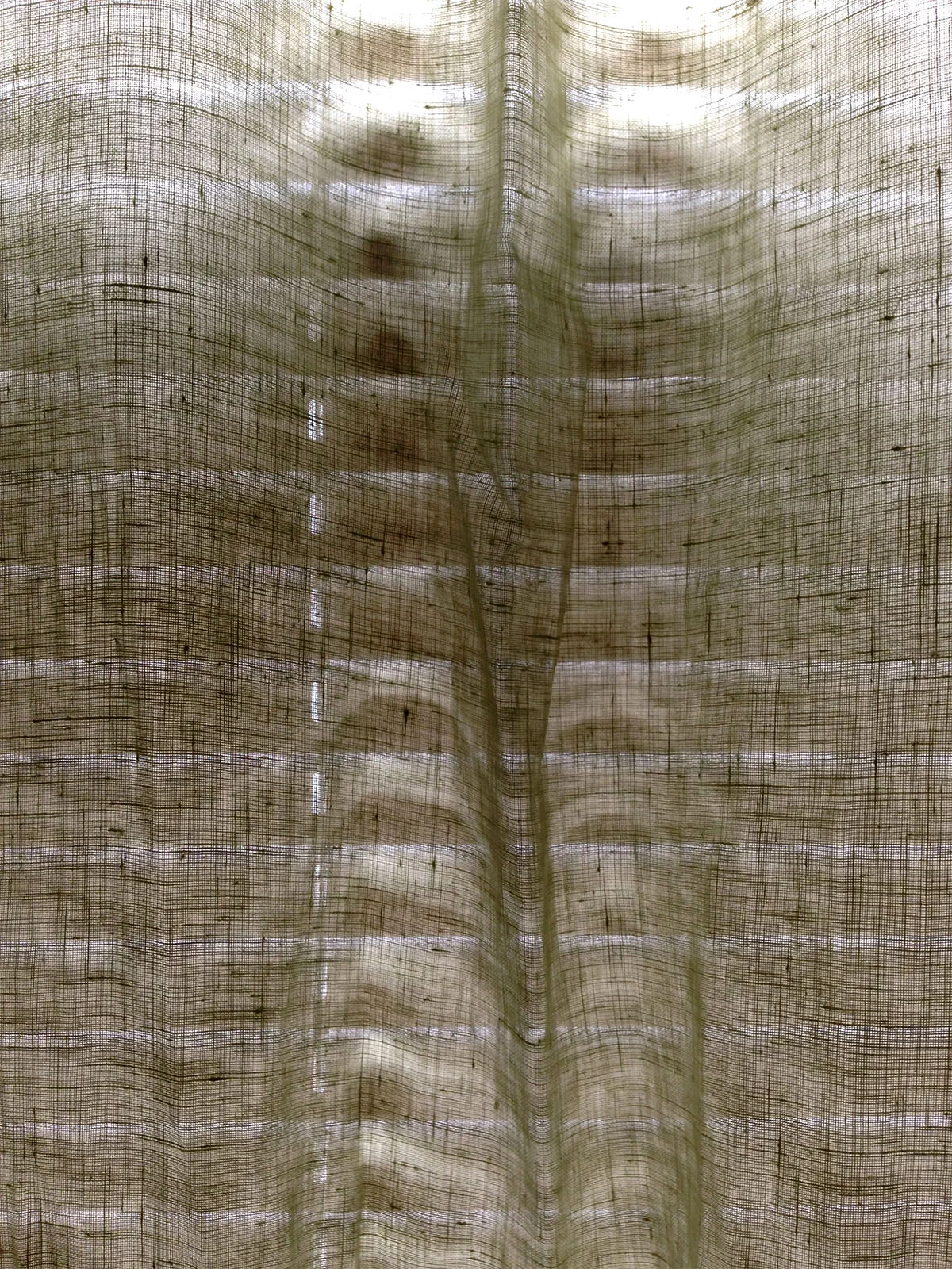 Homing 02