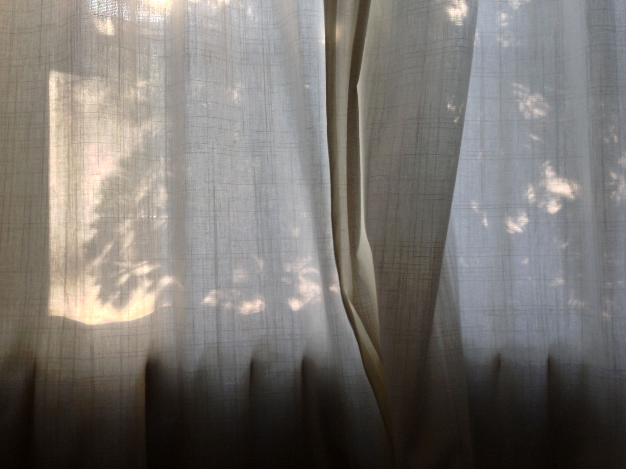 Homing 08