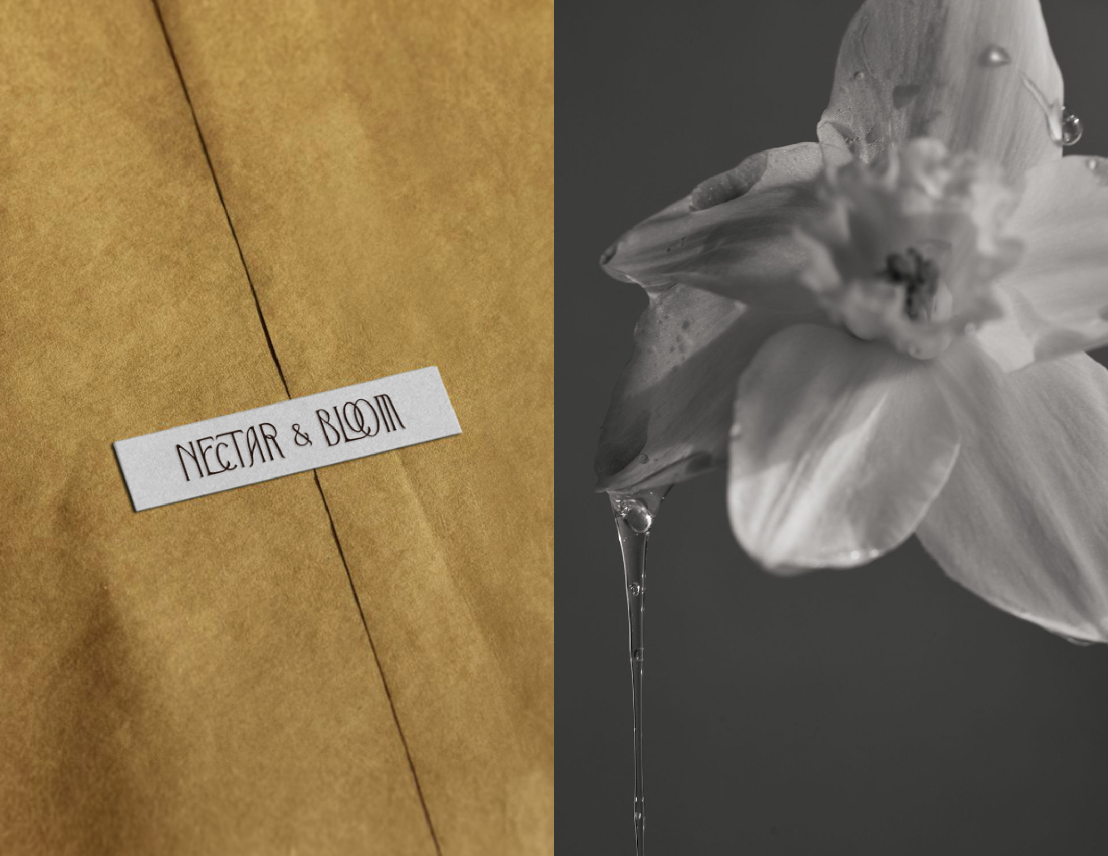 Screenshot 2026-01-04 at 1.00.11 PM.png