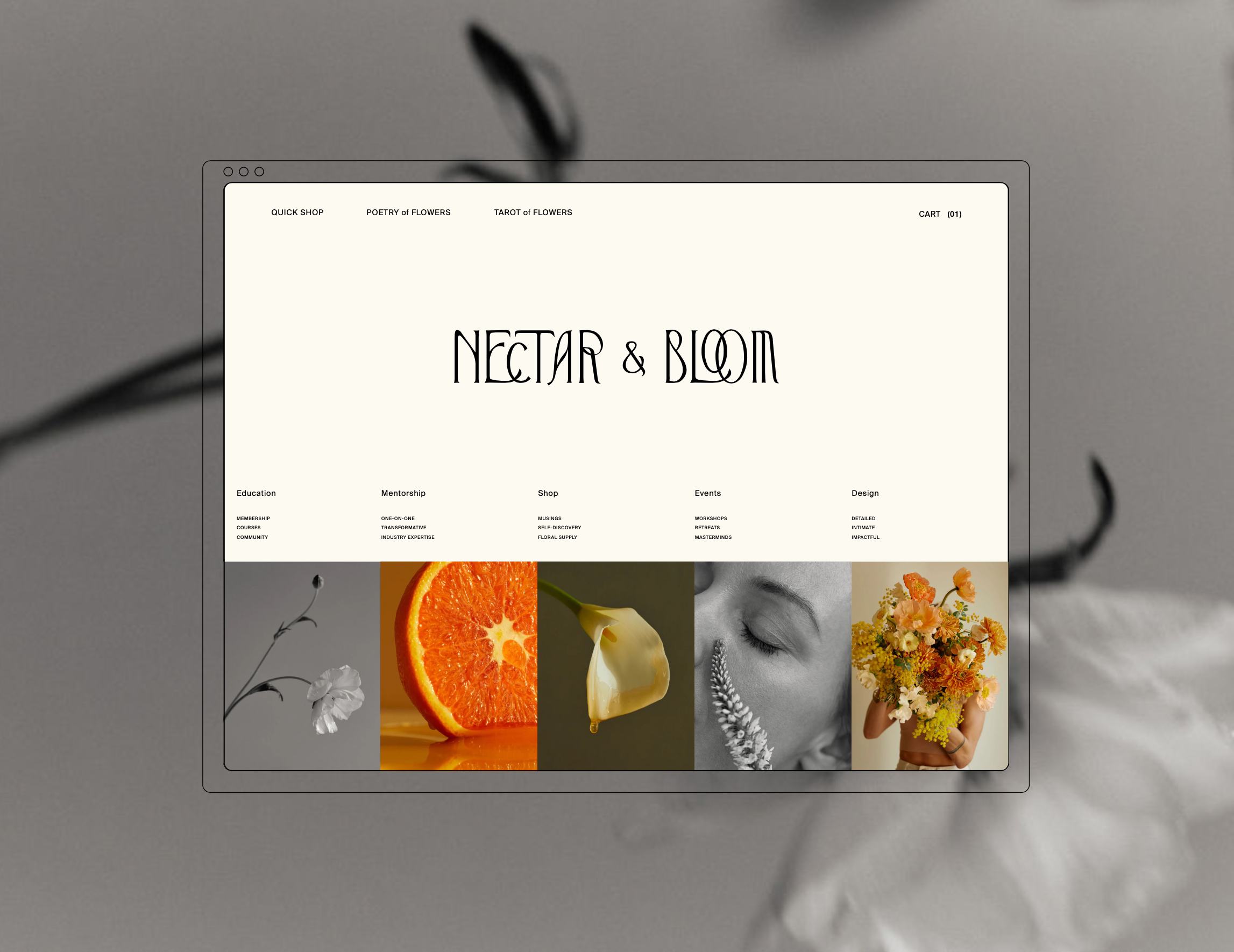 Screenshot 2026-01-04 at 1.01.30 PM.png