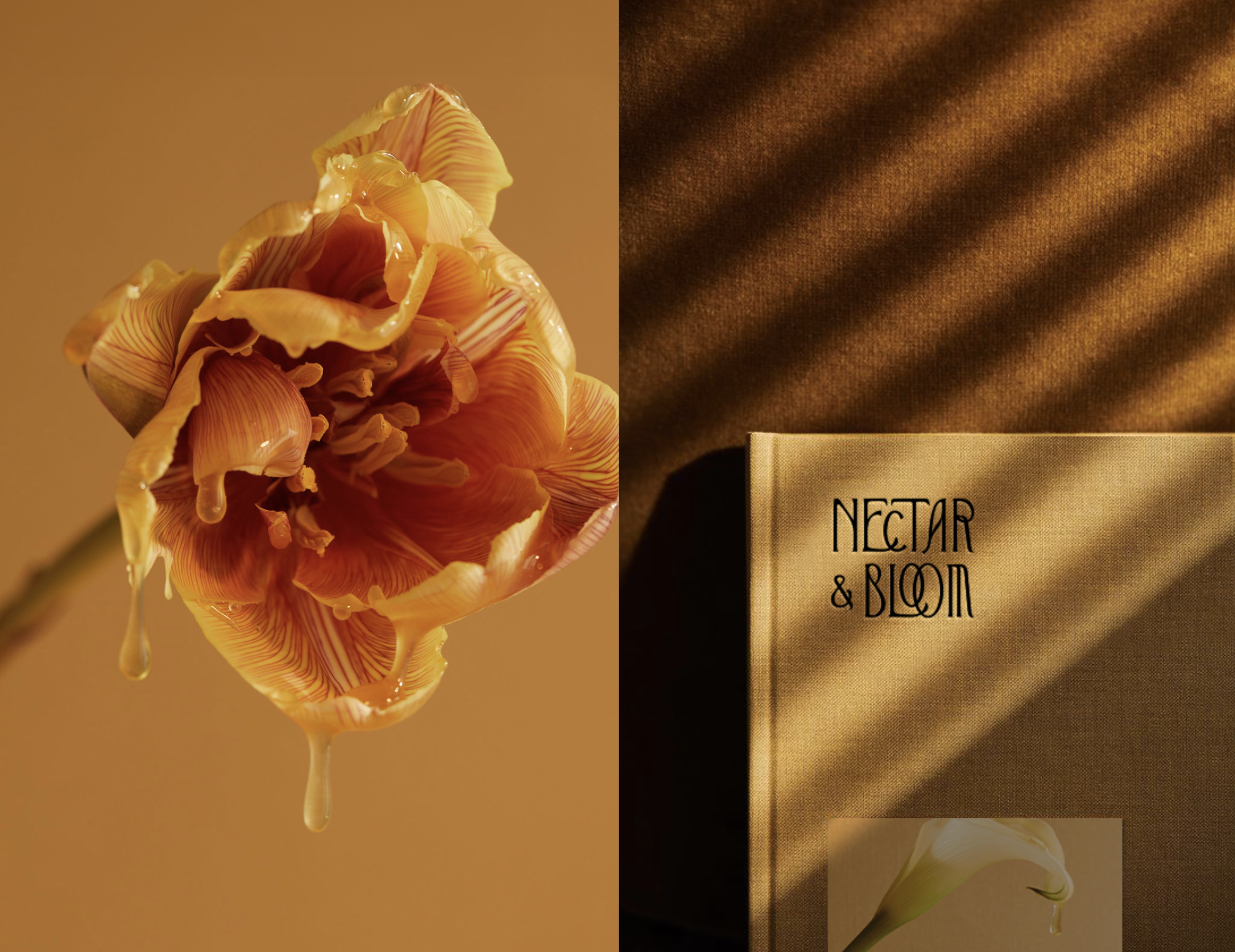 Screenshot 2026-01-04 at 12.59.29 PM.png