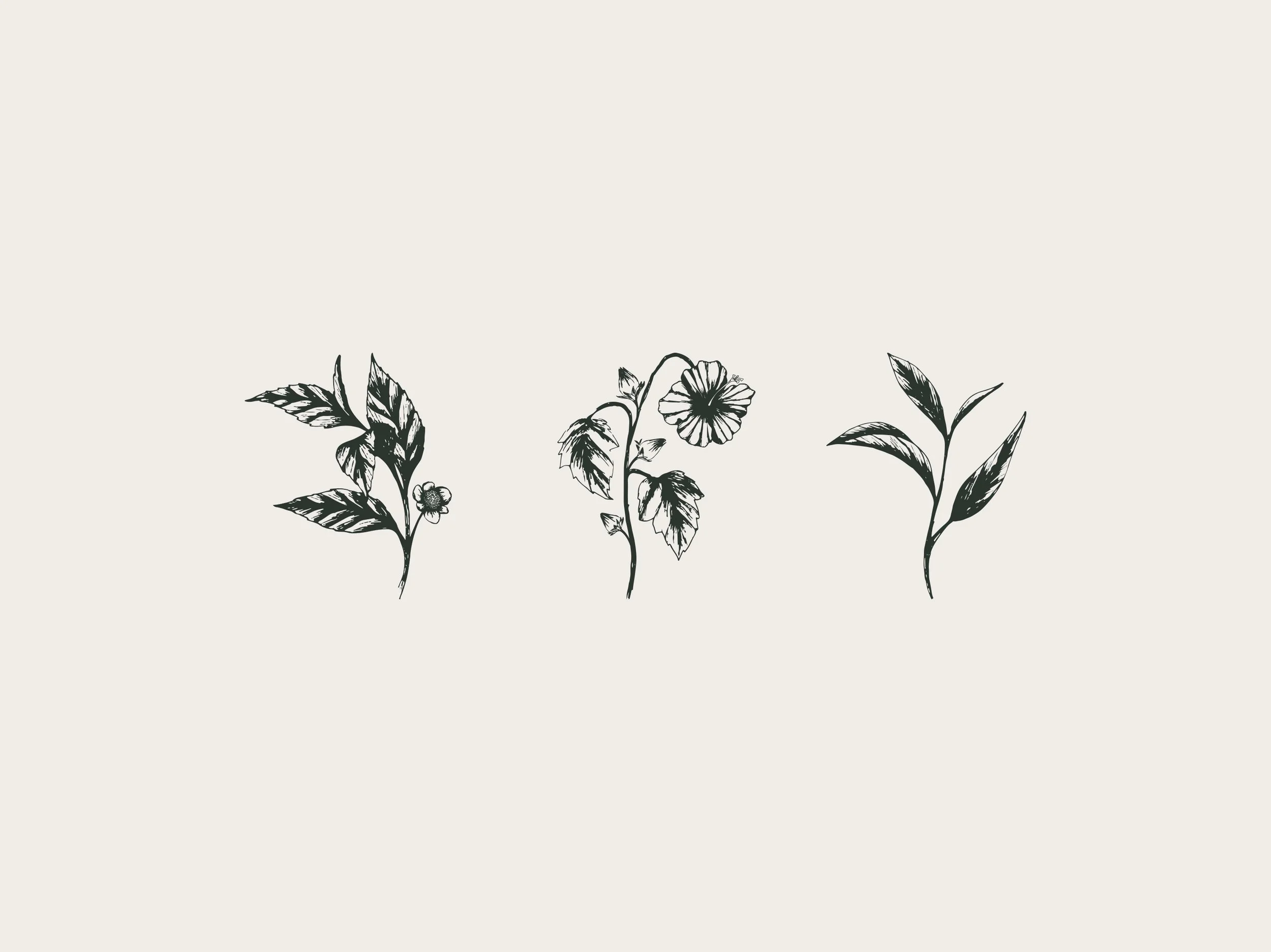Rishi-Illustrations-Trio.jpg