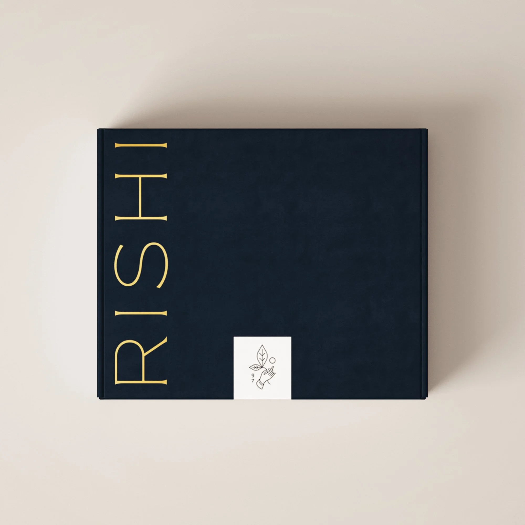 Rishi-Wordmark-03.jpg