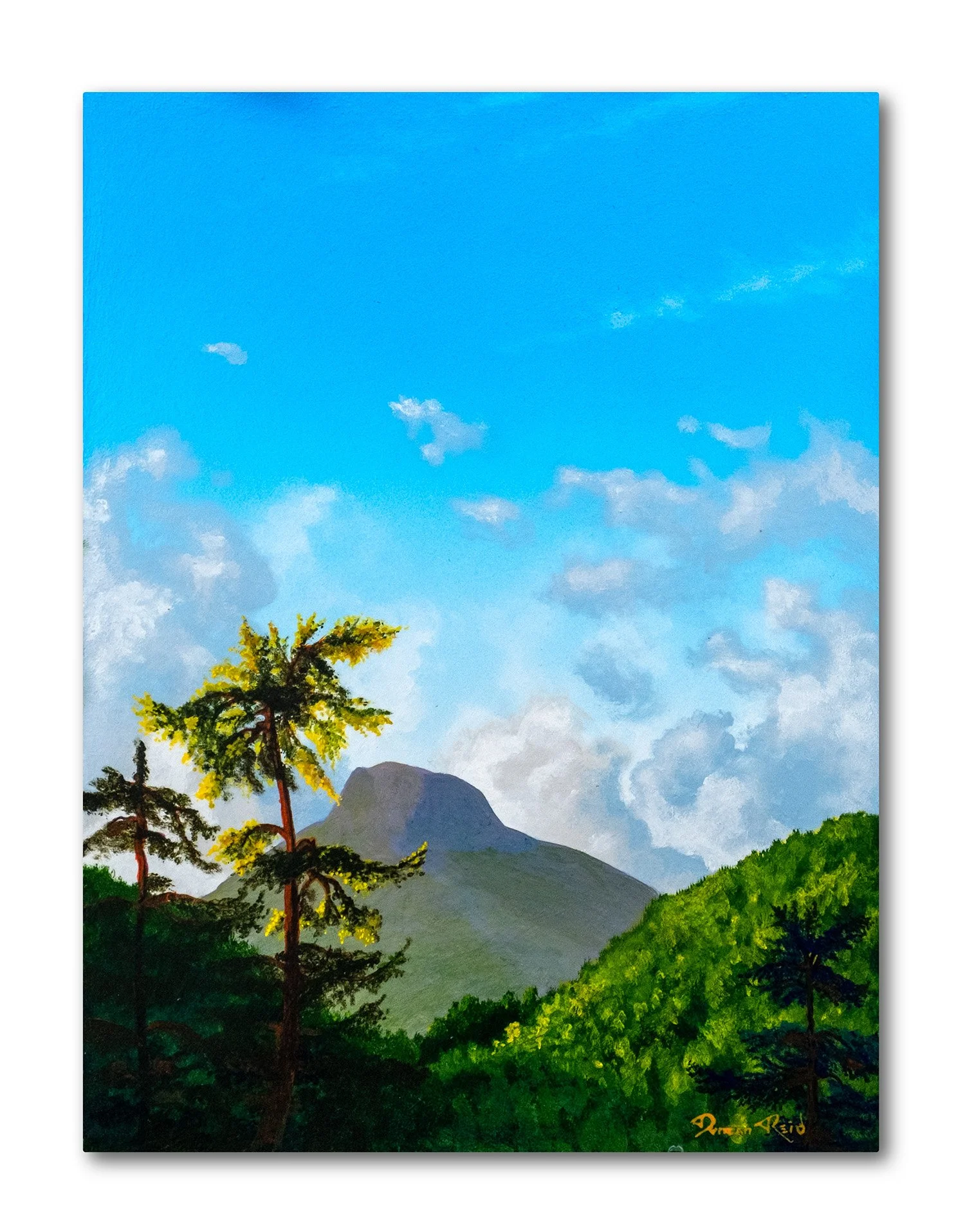 High in The Mountains of Myrth 