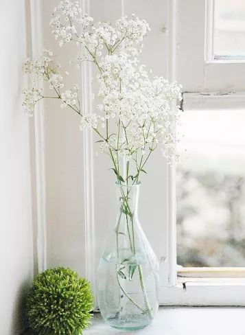 a0075f2185db6c5b7d1d080726634bb0.jpg