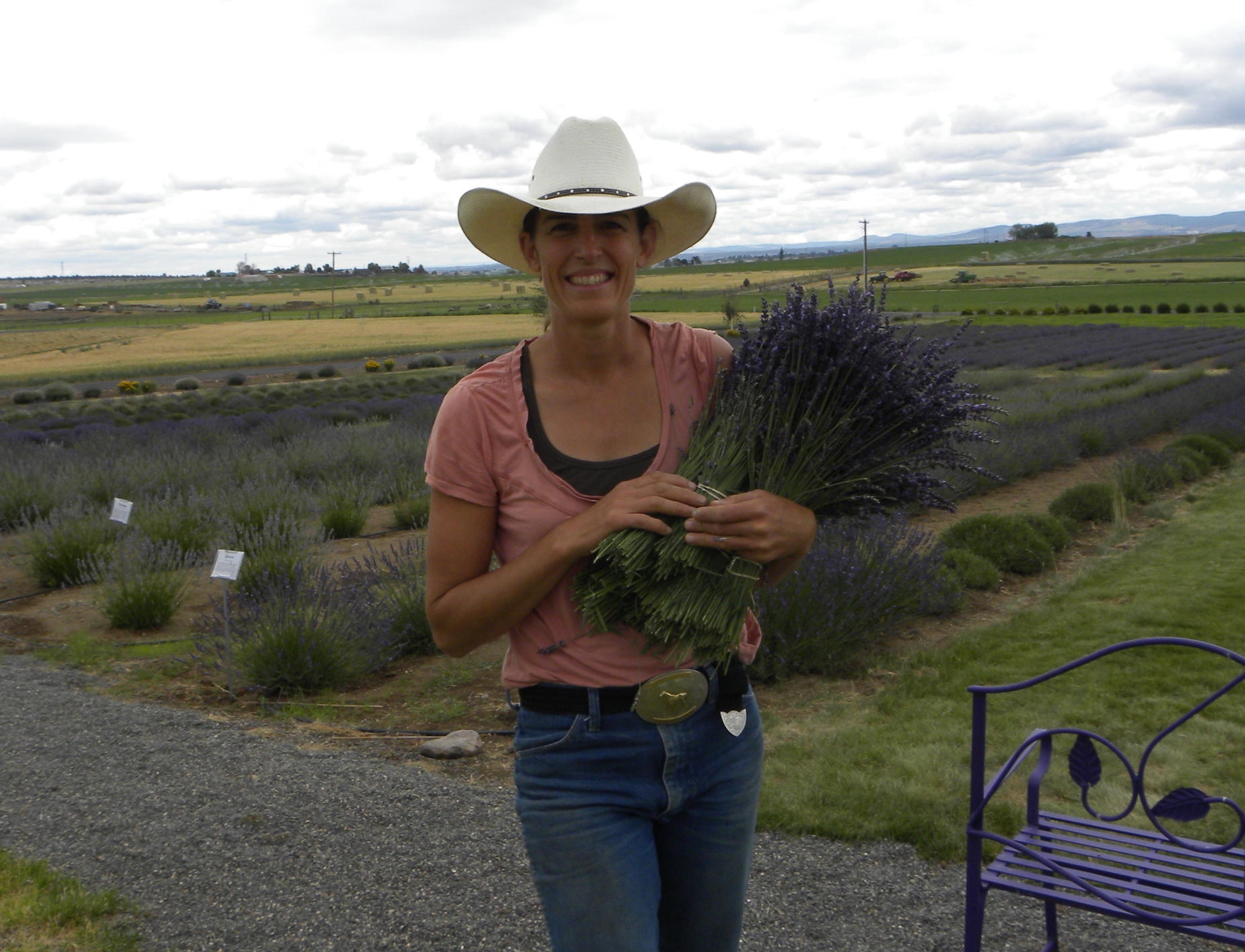 2016 Oregon Lavender Association Farm Tour on This Weekend!