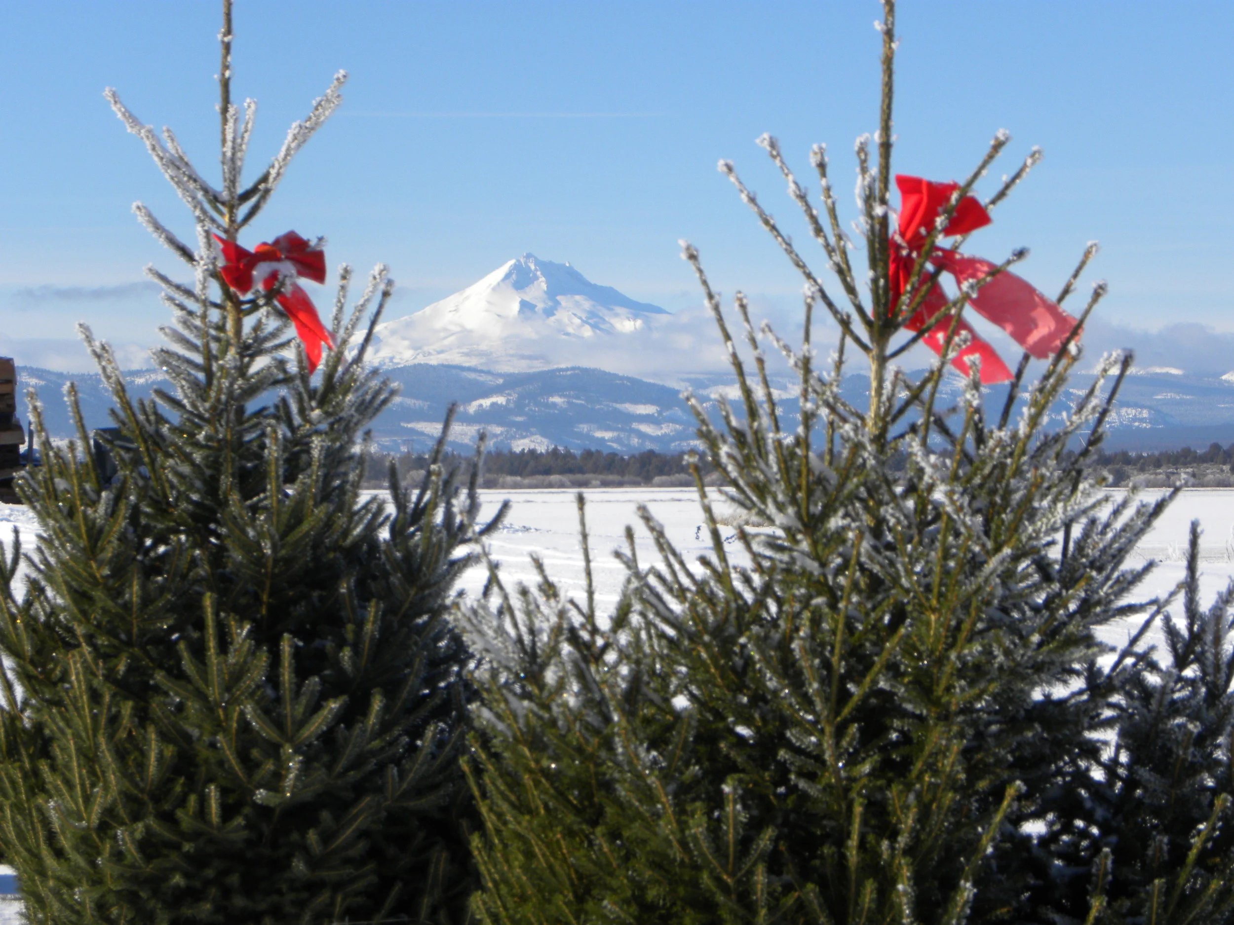 Holiday Hours and Events