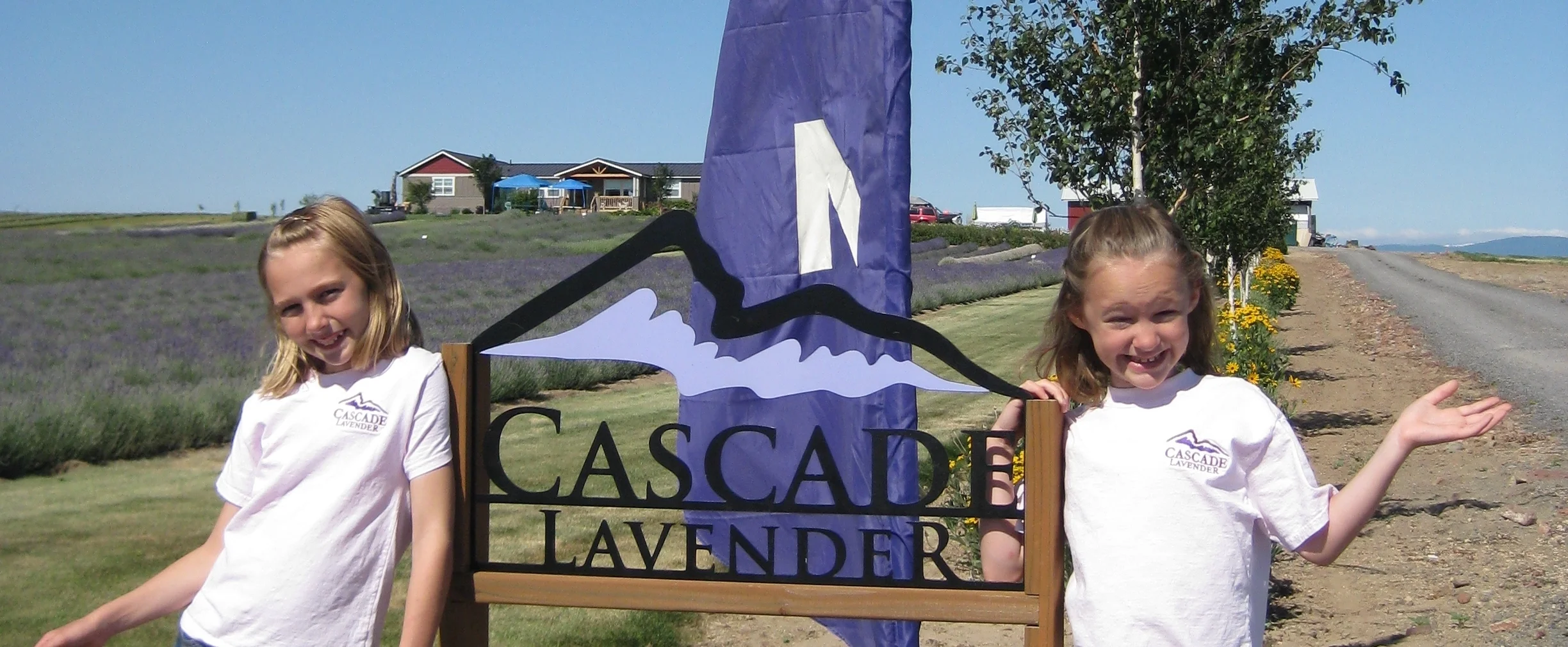 Cascade Lavender Celebrates 10 Years!