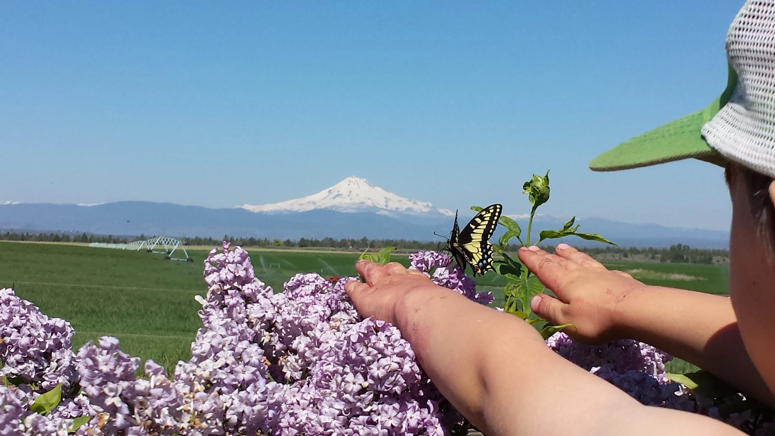 Plant Nursery OPEN Memorial Day Weekend!