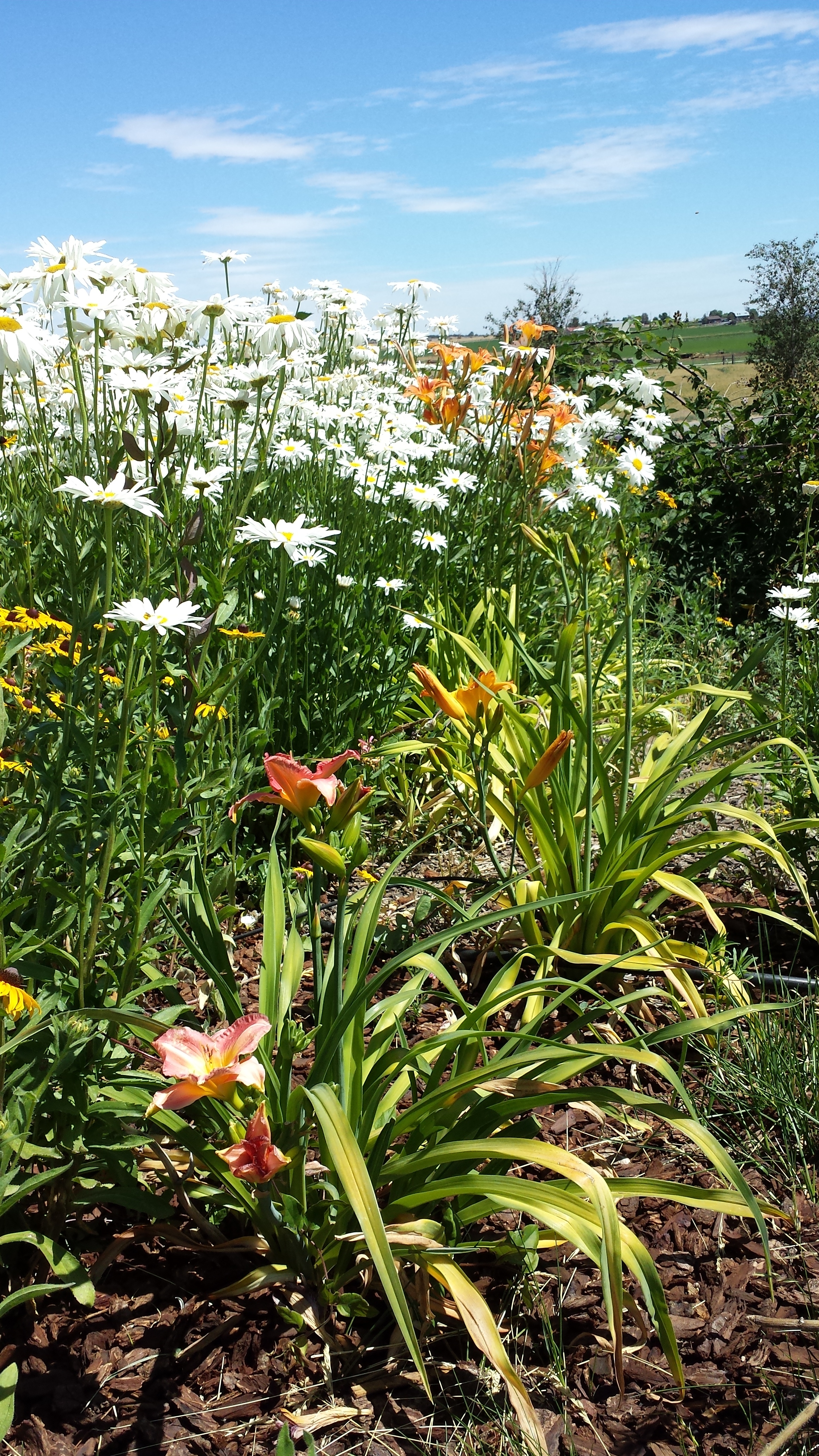 20170710_113900.jpg
