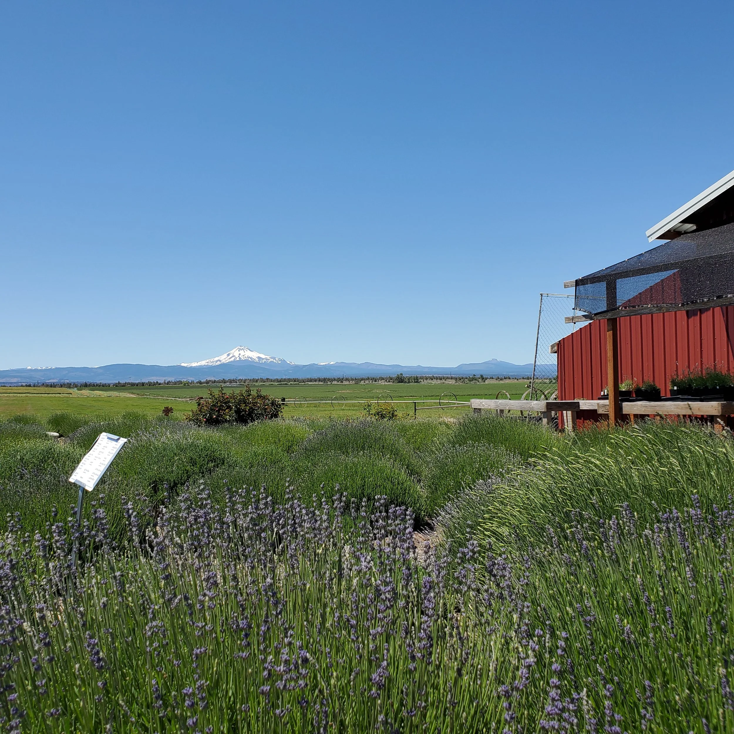 20210616_135950.jpg
