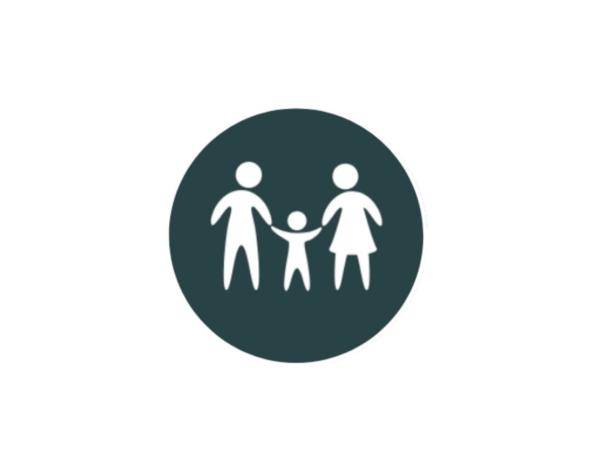 The Substance Abuse Foundation Inc