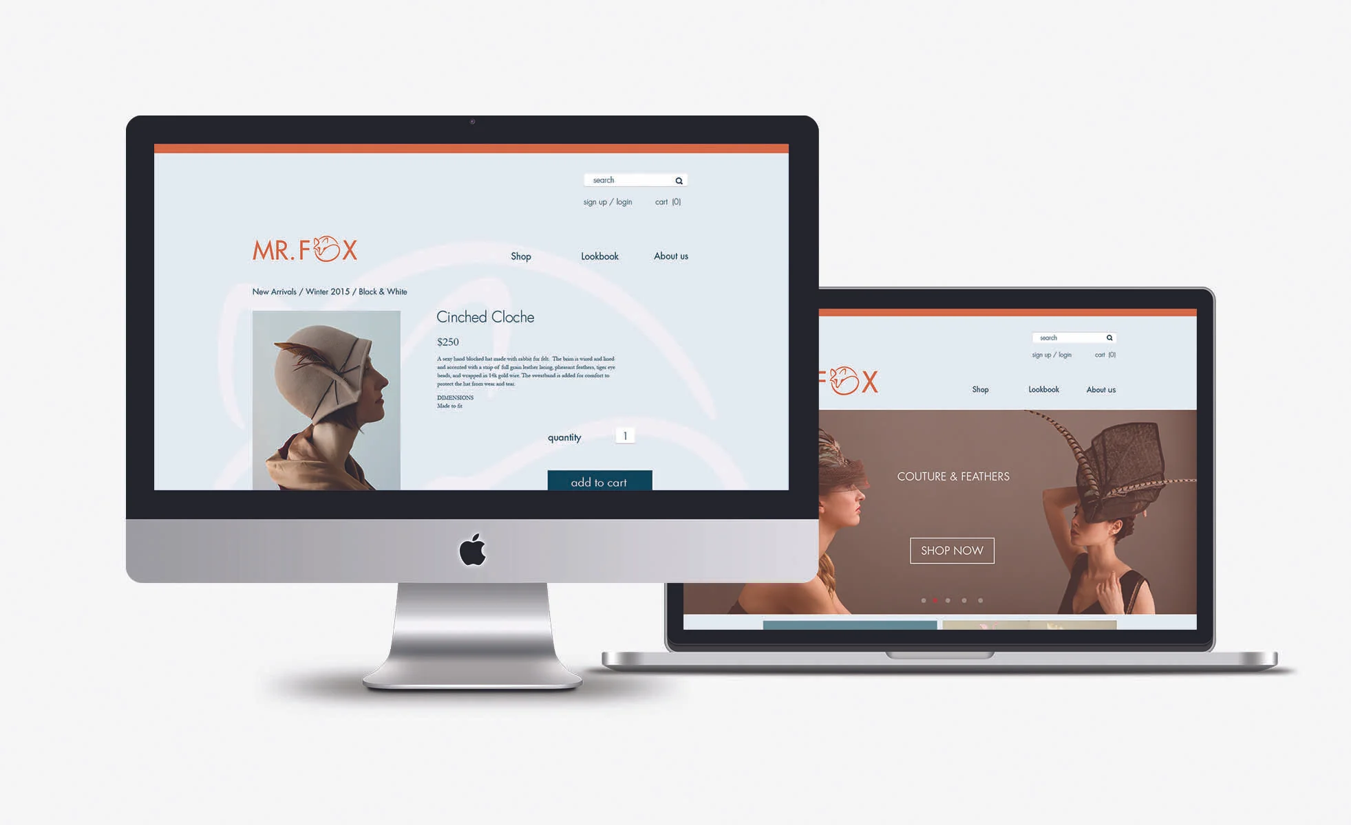 Desktop_mockup_home and cart.jpg