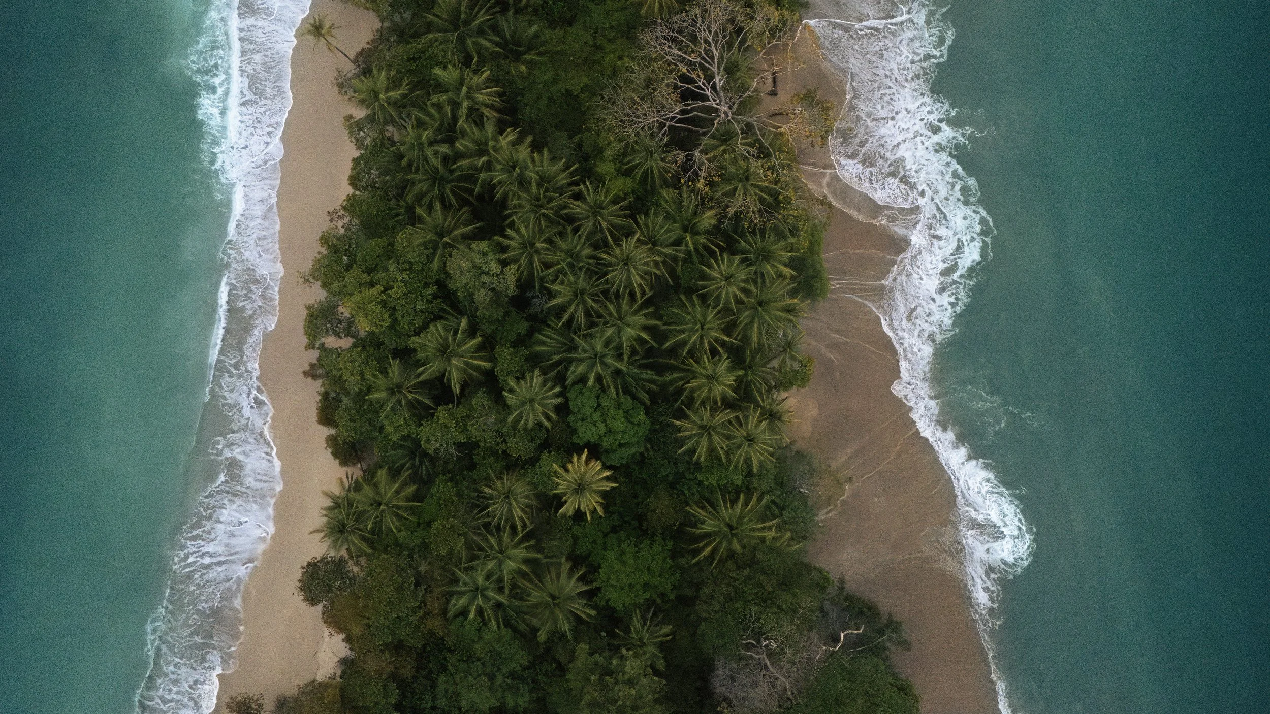 Double-Palm-Beach2 copy.jpg