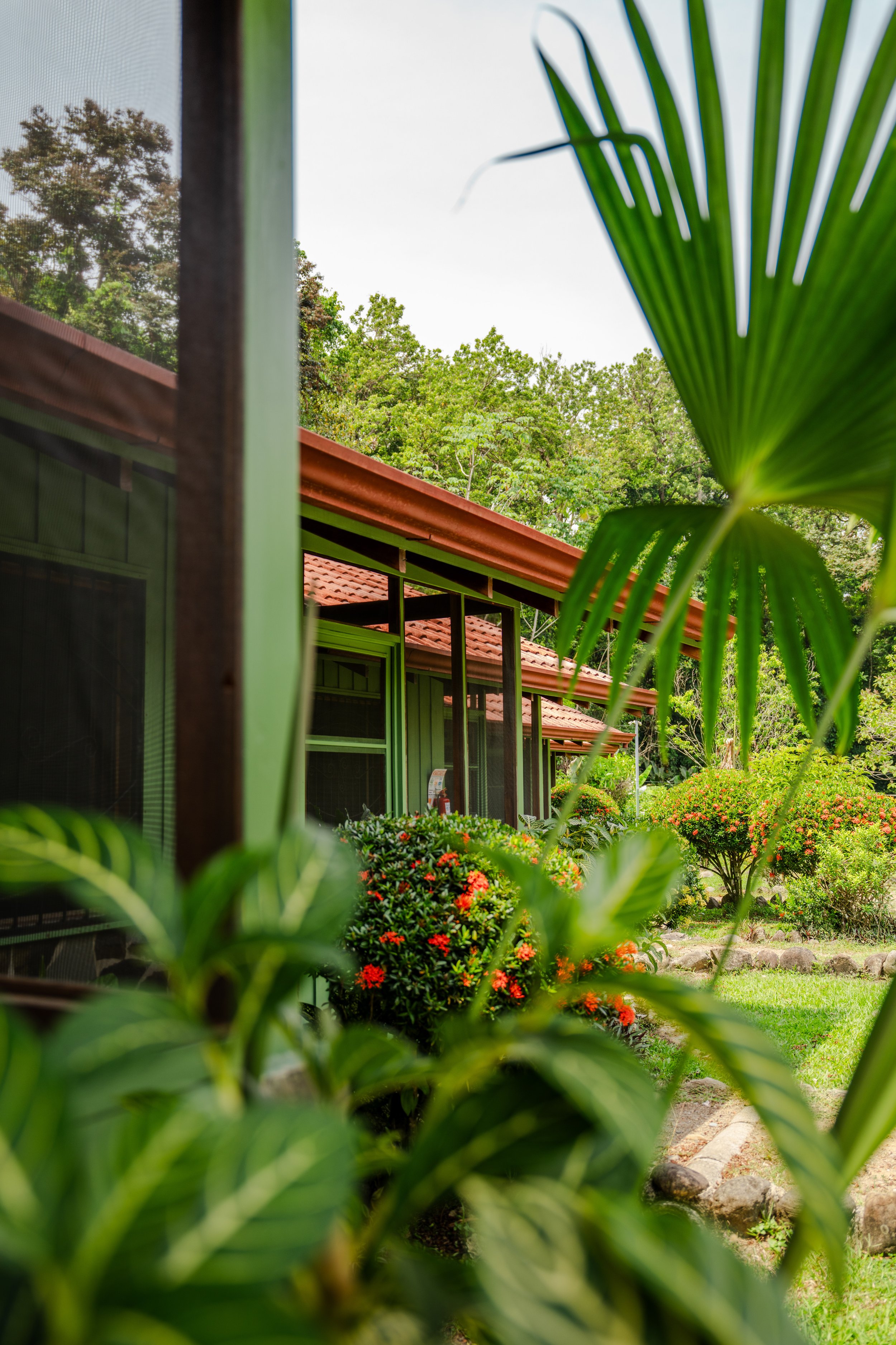 hacienda-baru-smaller-042.jpg
