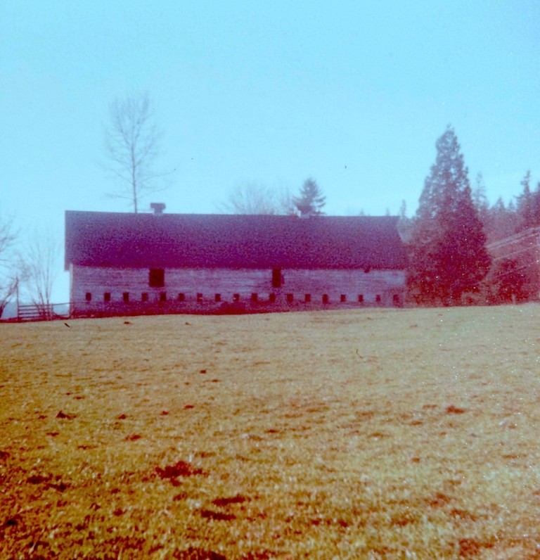 The massive barn measured 40′ x 110′, with a soaring second-story hayloft.