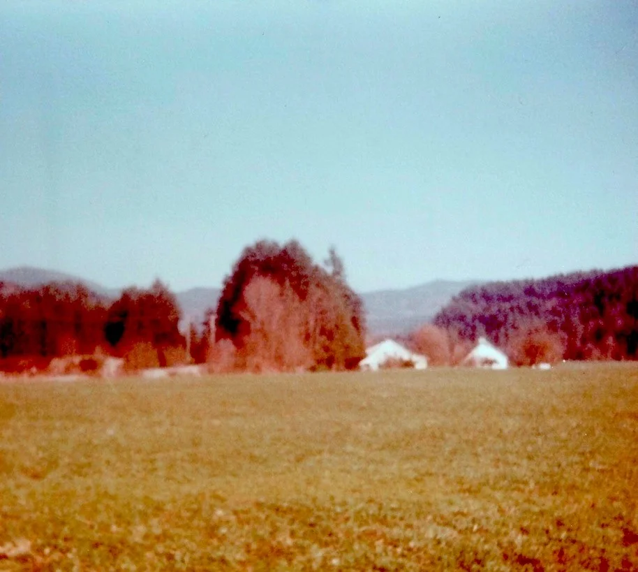 Hector and Florence Verschaeve’s dairy farm butted against our main pasture.