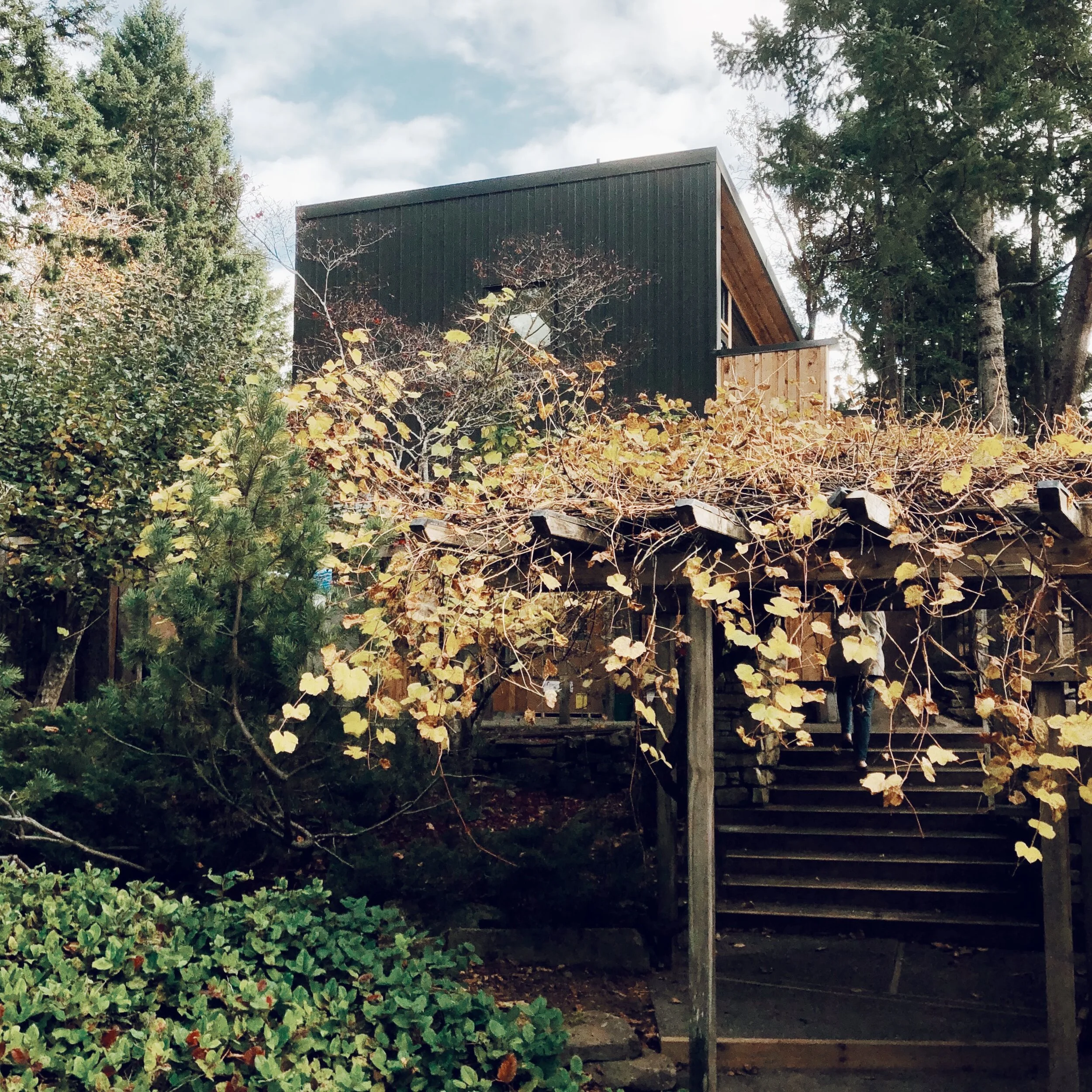  Processed with VSCO with j1 preset 