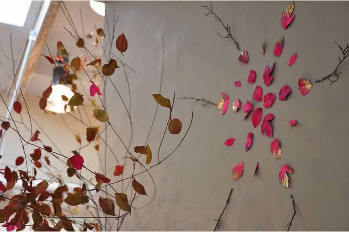 corte madera fall1.jpg