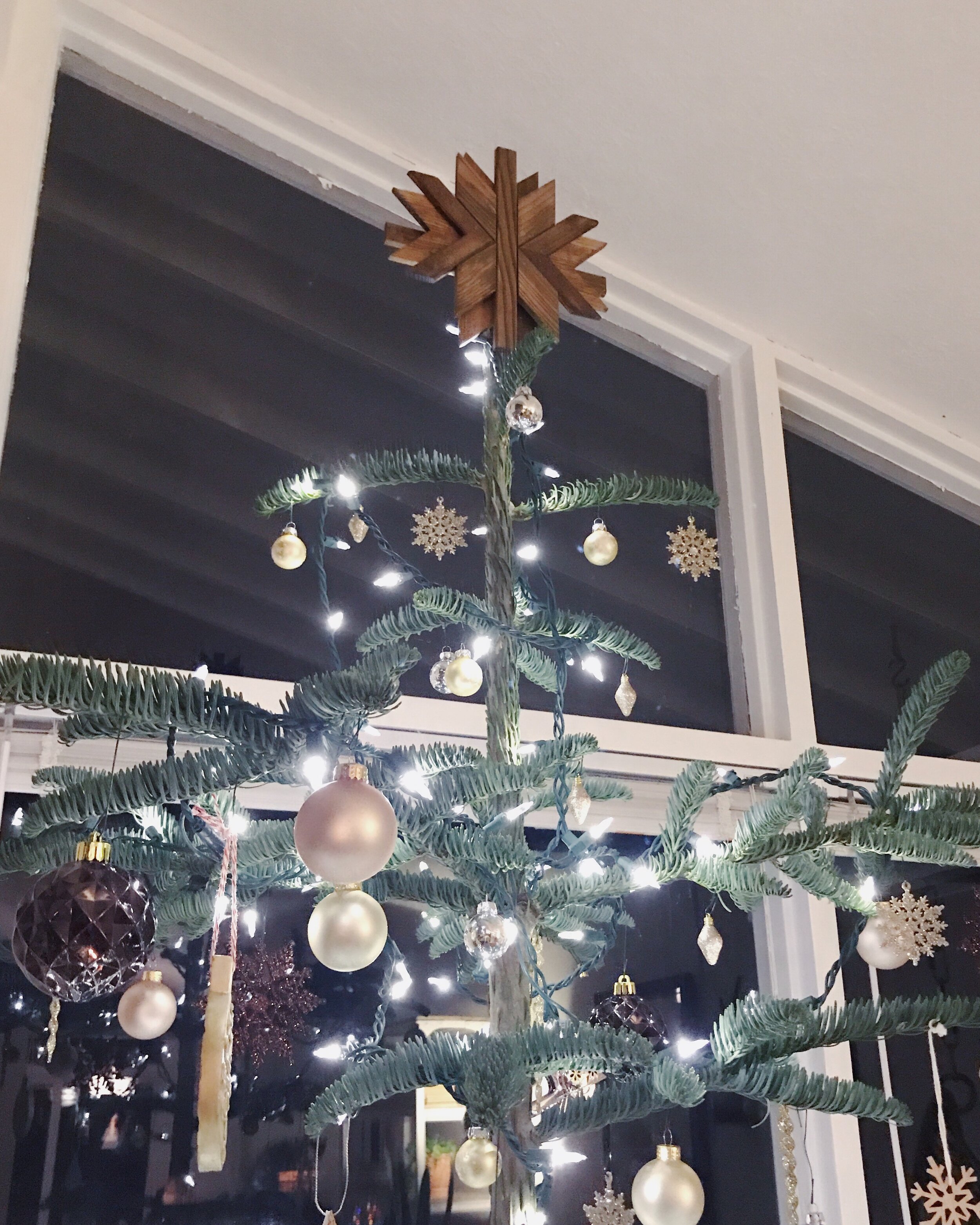 treetopper donzelle.JPG