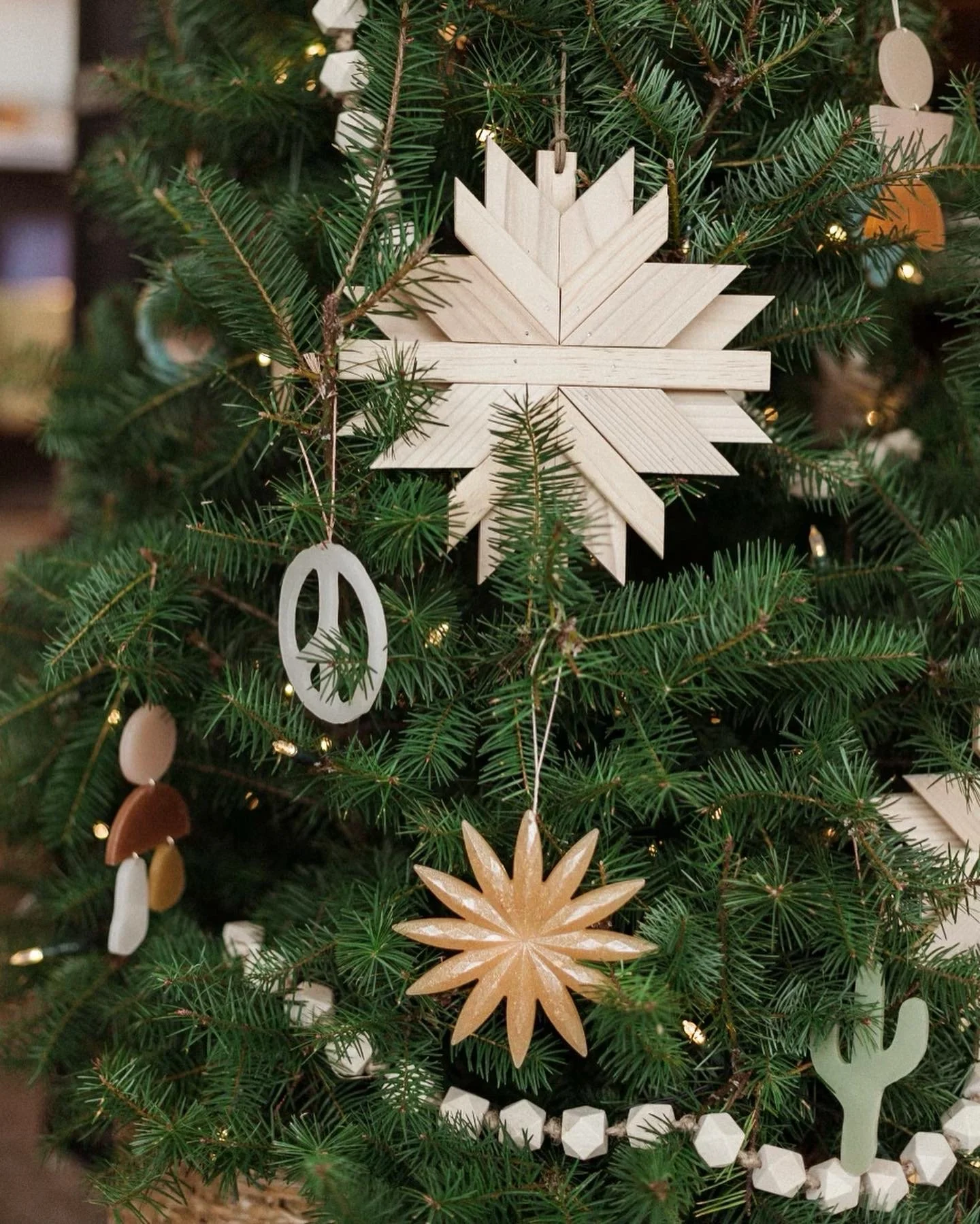 3B09264E-2989-4DEC-9F6A-3892897E40F8 2.jpeg