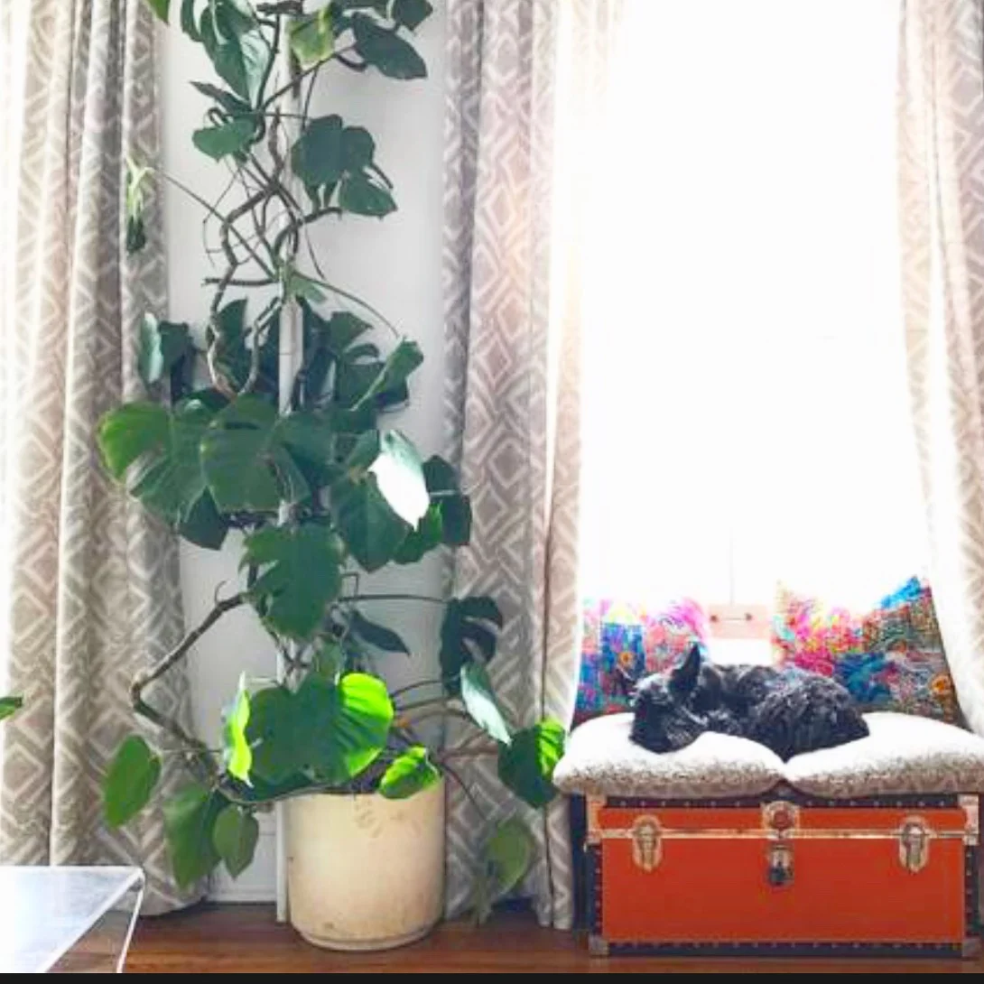 File Apr 14, 4 38 49 PM.jpeg