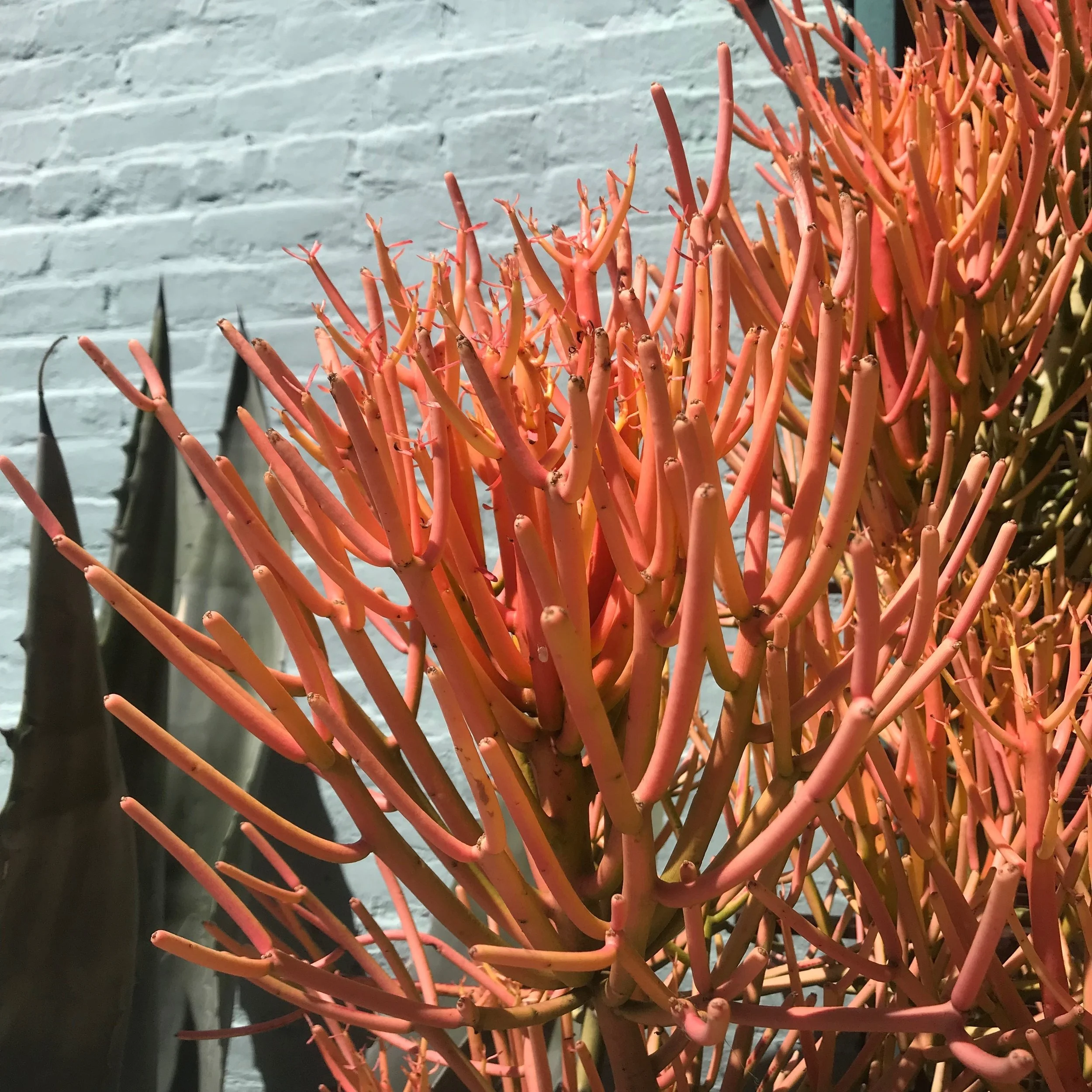 File Apr 13, 6 00 52 PM.jpeg